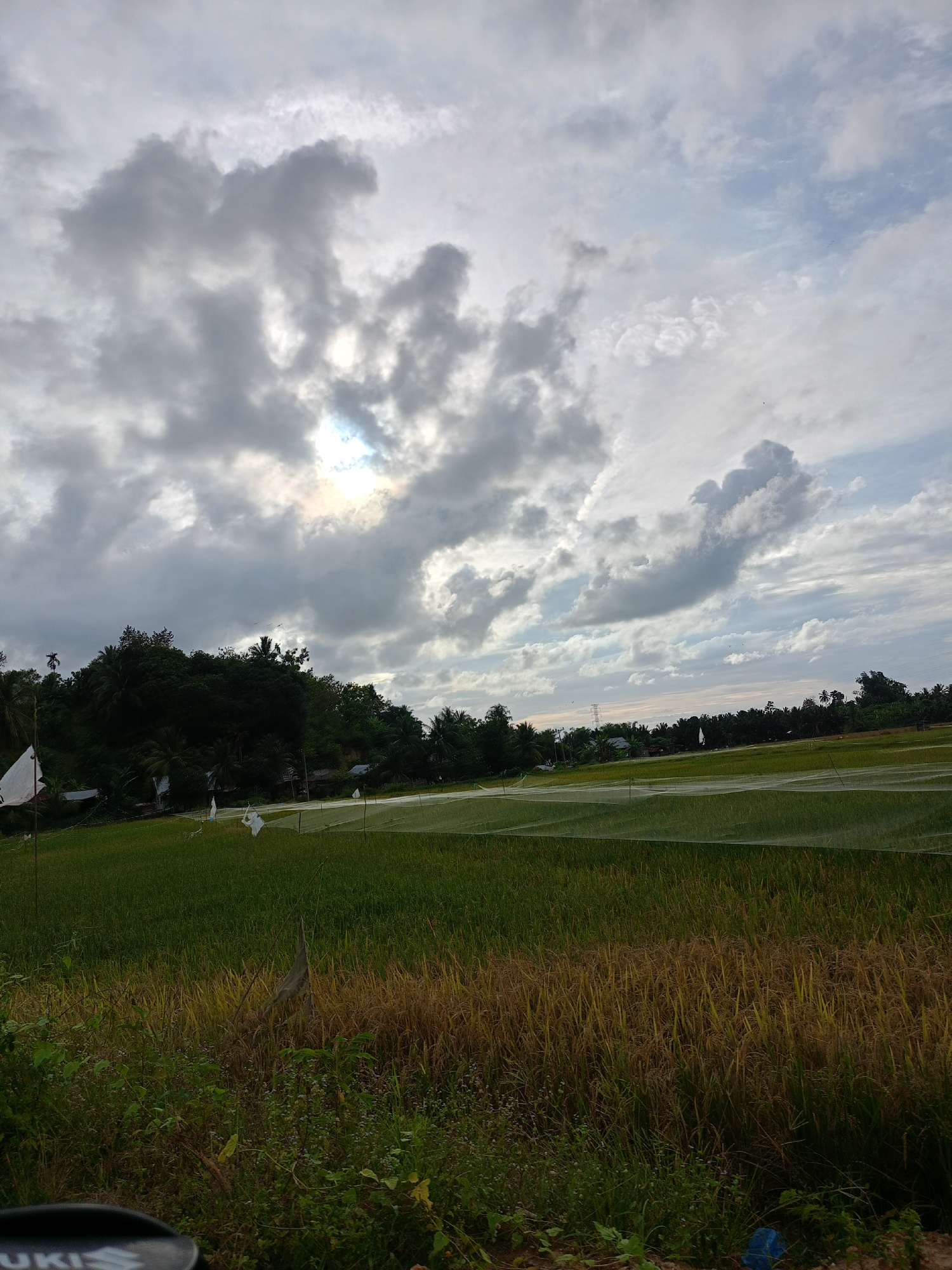 The image shows a landscape in Blangrheuem, Indonesia. The foreground features a field of rice, with a mix of green and golden-brown stalks, suggesting the rice is in the process of ripening or has already ripened. There's some vegetation in the lower portion of the frame, a combination of plants and weeds.
A translucent net is stretched across part of the field, likely for protection against birds or other pests. Beyond the field, a line of trees forms a horizon. In the distance, a few houses and infrastructure elements are visible.
The sky is filled with clouds, predominantly gray, with hints of blue sky peeking through. The sun appears to be behind the clouds, creating a diffused light.
There are no people or animals directly visible in the image.