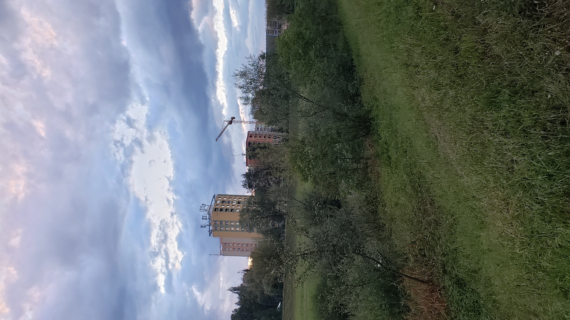 This image depicts a residential area in Prešov, Slovakia, under a cloudy sky. In the background, a tall, yellow apartment building with multiple antennas on its roof is visible. To the right of it, a construction crane towers over another building that appears to be under construction, with exposed brickwork. Further to the right, another apartment building, lighter in color, is partially obscured by trees. The foreground and middle ground are dominated by lush green vegetation, including trees and tall grass, suggesting a park or undeveloped area within the city. The lighting indicates it is likely dusk or a heavily overcast day. There are no people visible in the image.