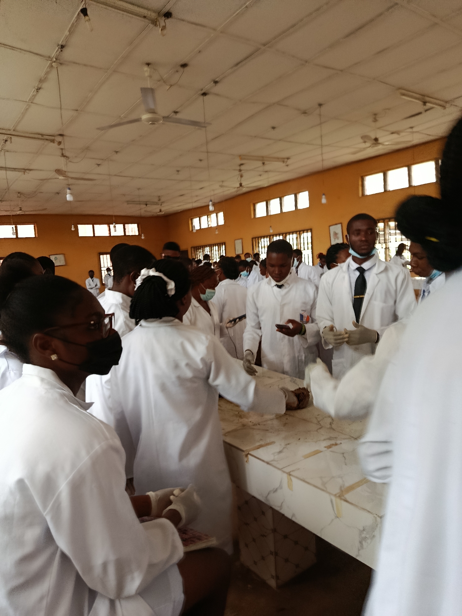 In a classroom setting with a tiled ceiling and orange walls, several young adults, likely students, are gathered around a dissection table. They are wearing white lab coats and gloves, suggesting a medical or science class. Some are actively engaged in observing or interacting with what appears to be a specimen on the table, while others are looking on or conversing. The room is illuminated by overhead lights and natural light from the windows. Several ceiling fans are visible, indicating a warm climate. The overall impression is one of focused learning and practical training.