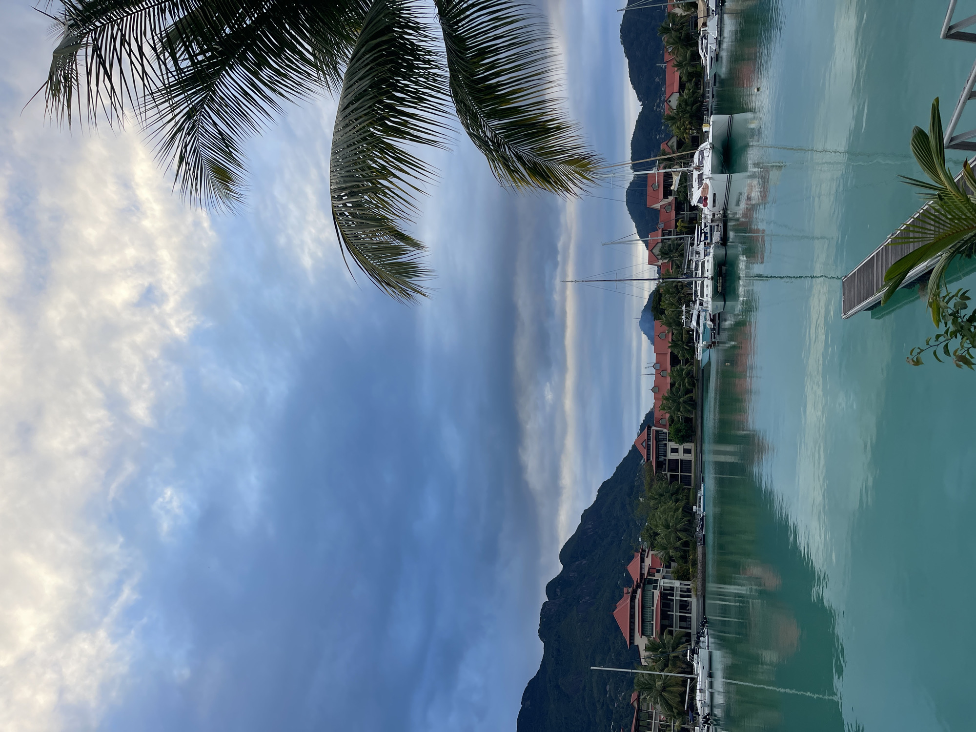 The image depicts a harbor in Victoria, Seychelles, with a tranquil turquoise body of water reflecting the sky and surrounding buildings. Numerous sailboats and yachts are docked, their masts reaching towards the cloudy sky. Lush green mountains form a backdrop to the scene, dotted with buildings featuring red-tiled roofs. Palm fronds frame the top right corner of the image, hinting at the tropical location. The water appears calm, with a wooden pier extending into it from the lower right. The overall atmosphere is serene, suggesting a quiet evening or a mild, overcast day.