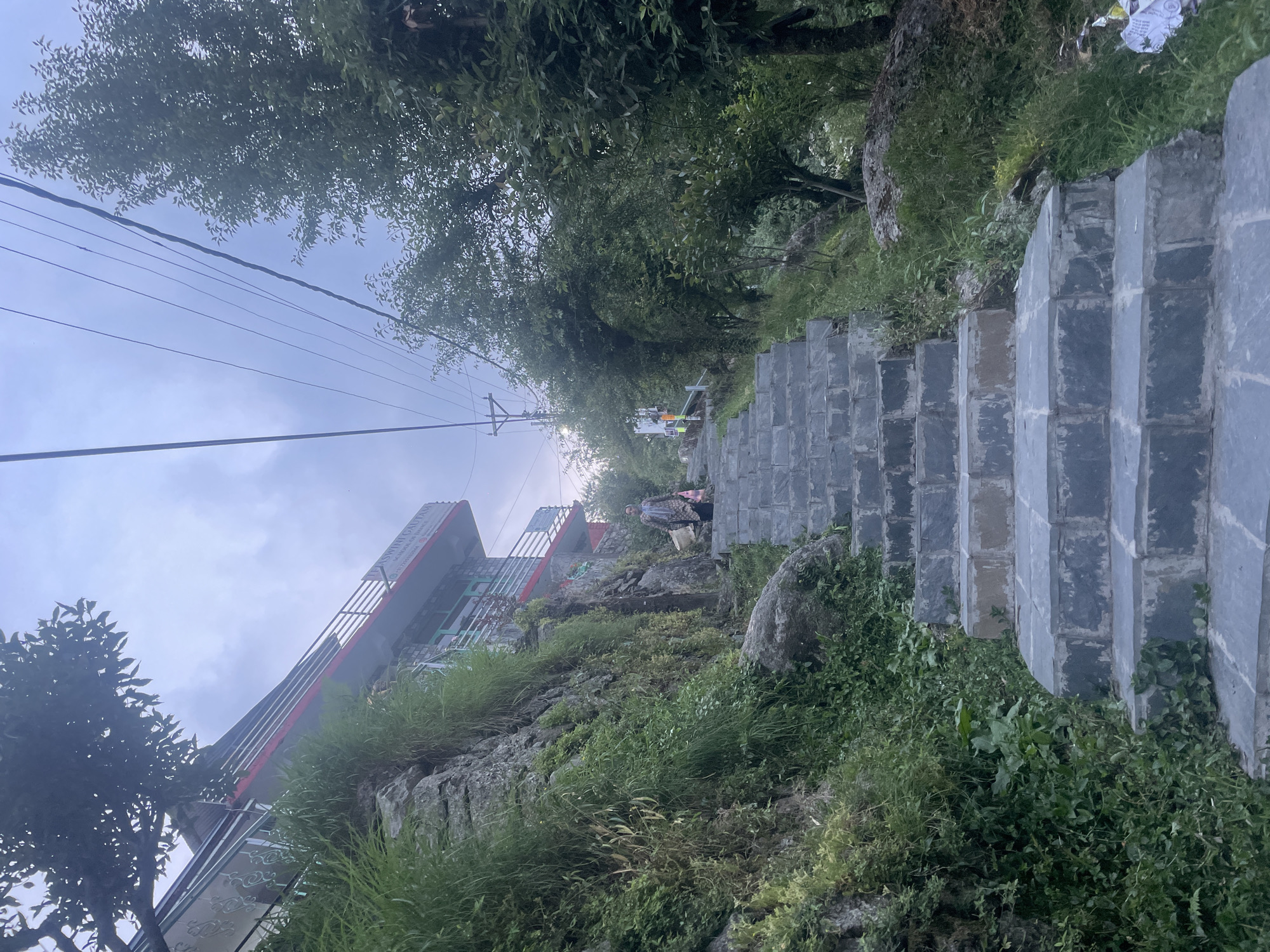 An outdoor scene captures a stone staircase ascending a lush, green hillside under an overcast sky. The dark gray stone steps, some appearing weathered, lead upwards and curve slightly to the right. On either side of the staircase, the terrain is covered with abundant green grass, various bushes, and scattered rocks. Large trees with dense green foliage line the path, particularly prominent on the left side and overhead, creating a natural canopy.
In the middle left of the image, a multi-story building with a red-colored roof trim and white walls is partially visible, built into the slope. Power lines are strung across the sky, extending from a utility pole further down the path and connecting towards the building. A person, dressed in dark clothing and seemingly carrying an item, is depicted walking up the stone steps.
The bright, diffused light suggests it is daytime, possibly late morning or afternoon. A signboard on the building displays text, which upon closer inspection reads "HAWASWNI GAUPASAN," followed by "RESIDENCE & CAFE" and "HIMANI GUEST HOUSE," along with some illegible contact numbers. The setting evokes a serene, natural environment with human infrastructure, characteristic of a hilly region like Bhagsu, India.