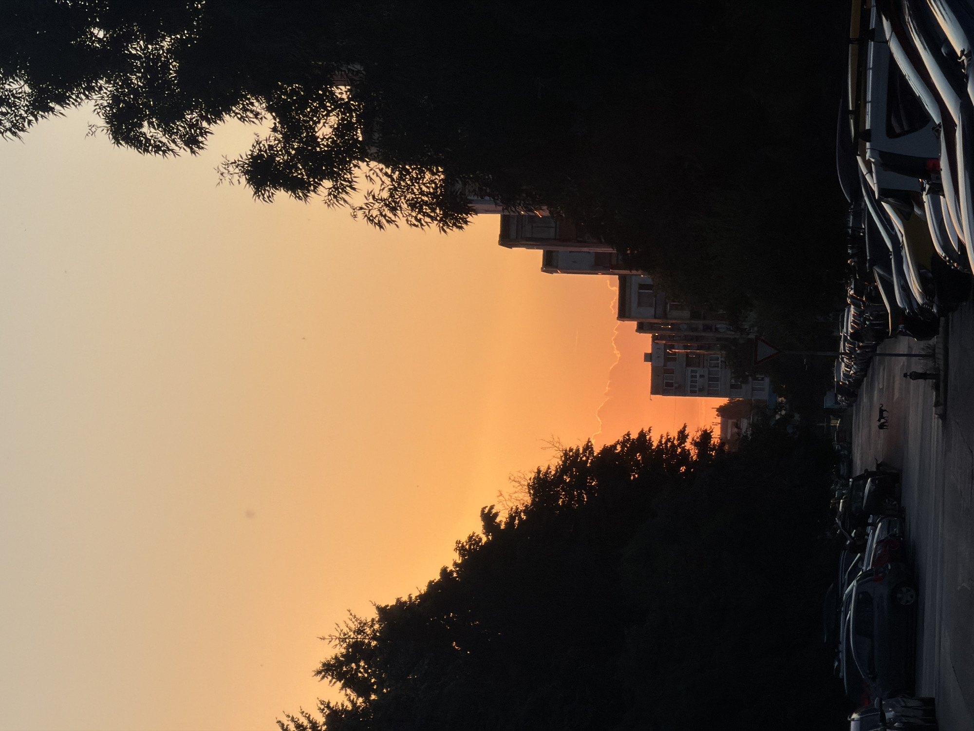 The image depicts an urban scene at sunset in Sofia, Bulgaria. The sky is ablaze with warm orange and yellow hues. On the left and right sides of the frame, silhouetted trees frame a view of apartment buildings and a street lined with parked cars. Two small dark figures, possibly stray animals, are visible on the street in the middle ground. The overall atmosphere is one of quiet urban twilight.