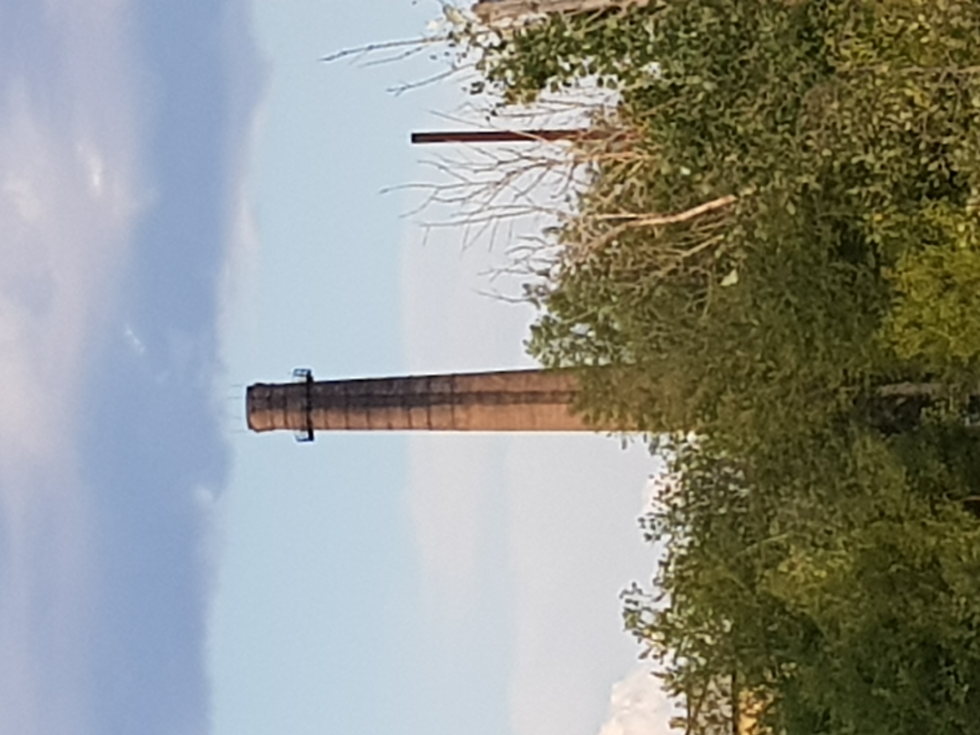 The image shows a tall, cylindrical brick chimney, likely an industrial smokestack, in the city of Kurchatov, Kazakhstan. The chimney is made of reddish-brown brick and has a circular platform with railings near its top. It stands against a backdrop of a pale blue sky with some wispy gray clouds. In the foreground, a dense cluster of green trees and bushes partially obscures the base of the chimney. The overall scene suggests an outdoor environment, possibly on the outskirts of the city, where industrial structures are integrated with natural vegetation. There are no people visible in the image.