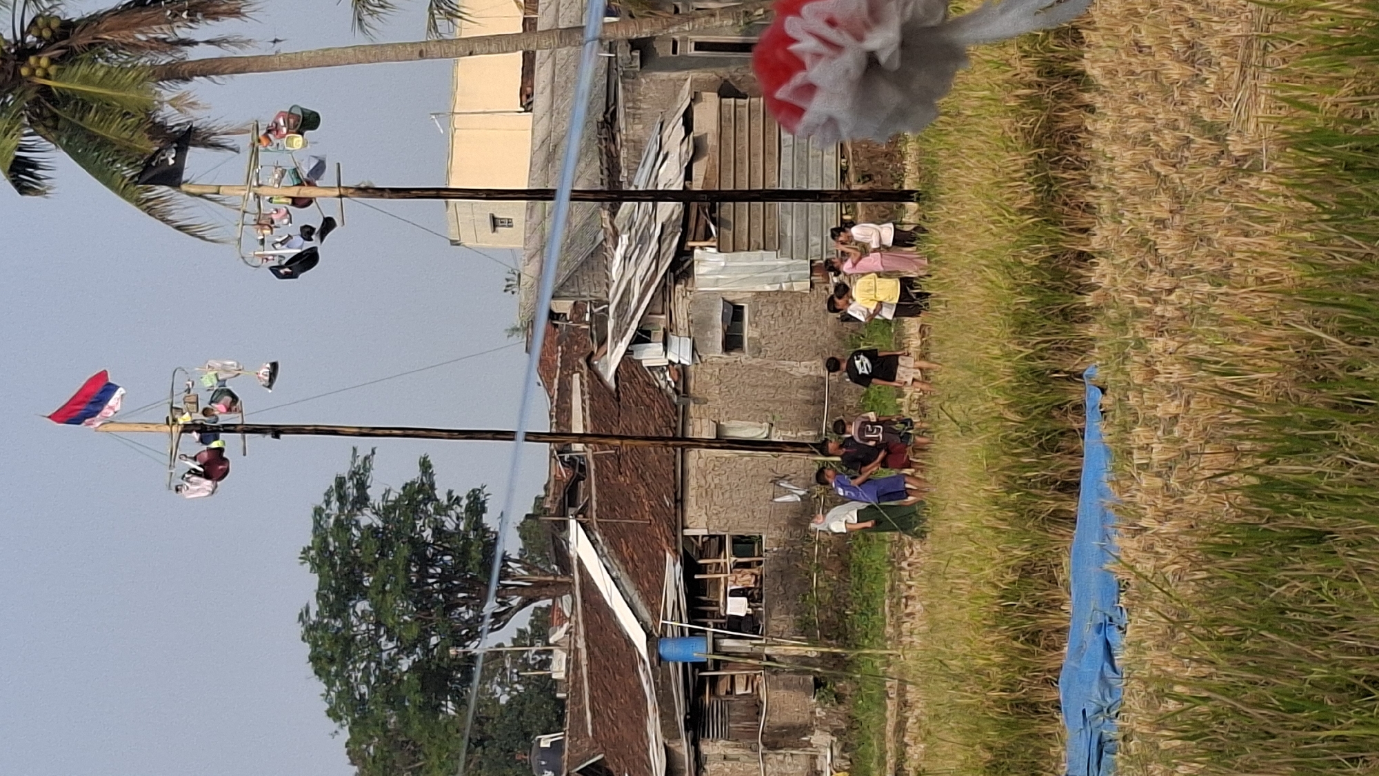 In Cilaku, Indonesia, a group of children and young adults gather in a field of dry rice stalks under a clear sky. Two tall poles stand prominently, each adorned with a rotating carousel of objects, including what appear to be shoes and other items, possibly for a competition. One pole flies a red and blue flag, while the other sports a black flag. In the foreground, a large blue tarp is spread out on the ground. In the background, traditional Indonesian houses with tiled roofs are visible, with a mature tree and palm trees framing the scene. A person's hand holding a red and white object is partially visible in the lower right corner.
