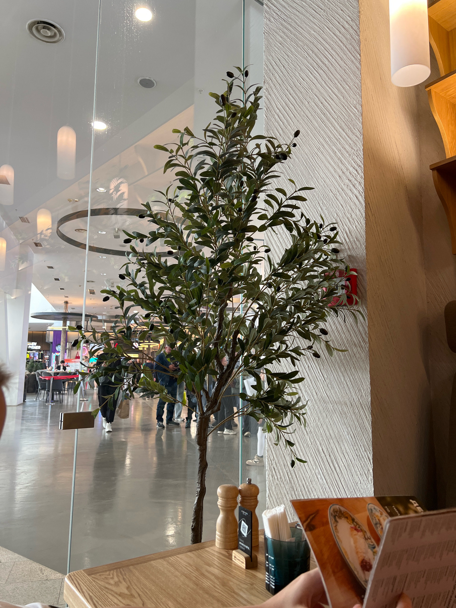 The image appears to be taken inside a cafe or restaurant in a modern building, possibly a shopping mall, in Krasnoyarsk, Russia. A large, artificial olive tree with dark olives is prominently positioned in the foreground, partially obscuring the view through a glass partition. Through the glass, the interior of the building is visible, with a polished floor reflecting the overhead lighting and a ceiling with circular vents and recessed lights. Several people are walking in the background. To the right of the olive tree, a textured wall with diagonal lines is visible, alongside a segment of wooden shelving and a white cylindrical lamp. On a wooden table in the foreground, a menu is being held by a person, with salt and pepper shakers and a dark blue glass holding napkins also present. A red fire alarm is mounted on the textured wall. The overall scene suggests an indoor dining environment with a decorative element and a glimpse of a public indoor space beyond.