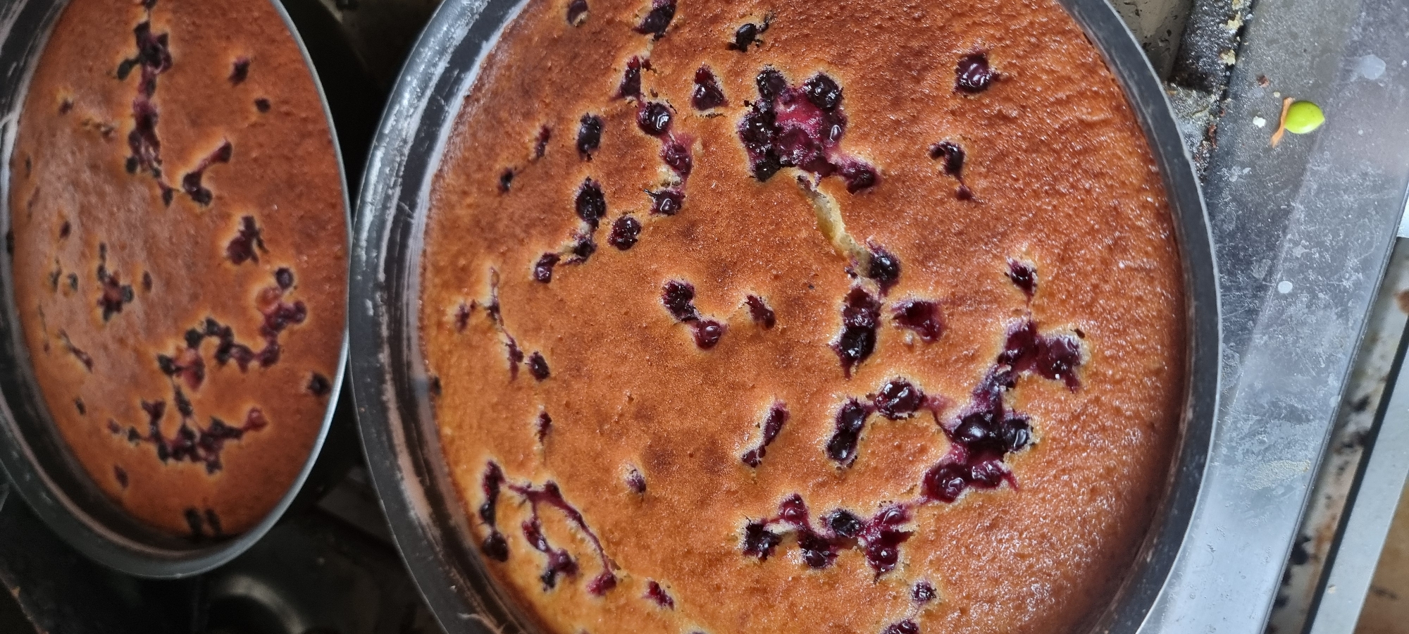 The image shows two round cakes with berries baked into them. The cake in the foreground is larger and takes up most of the frame, its surface is golden brown with visible dark purple berries scattered throughout. The cake in the background is smaller and slightly out of focus, also appearing to have berries embedded in its surface. Both cakes are in round metal baking pans. The environment appears to be a kitchen or a place where baking is done, with some visible texture on the surface below the pans that could be a countertop or stovetop. There are no people or animals visible in the image. The location of Aktobe, Kazakhstan is not discernible from the visual information provided in the image.