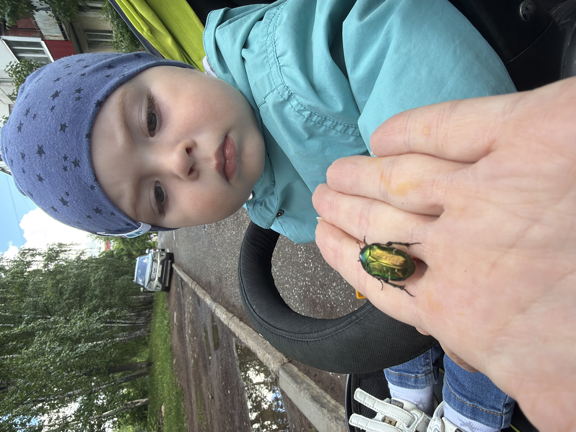 An adult's hand holds a vibrant, metallic green beetle, likely a rose chafer, directly in front of a young child seated in a stroller. The child, wearing a blue beanie with star patterns, a light blue jacket, blue jeans, and white sneakers, gazes intently at the insect with a curious and calm expression.
The scene takes place outdoors during the daytime in what appears to be a residential or park area in Votkinsk, Russia. The ground is a mix of paved path and dirt, with several puddles reflecting the sky, suggesting recent rain. A concrete curb runs alongside the path. A line of lush green trees, resembling birch trees, flanks the area, with a white SUV parked further down a road visible in the background. Part of a multi-story residential building can be seen in the upper left corner.
The child's white sneakers have visible branding, with one shoe showing partial text like "Shlon" or "ShioN" and the other faintly displaying "ADIDAS". The adult's hand shows no specific markings or jewelry. The overall atmosphere is one of a quiet moment of discovery, as the child encounters nature. The image is oriented sideways.