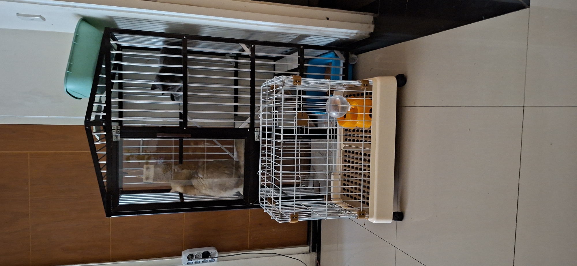 The image depicts an indoor scene, likely a home, in Surabaya, Indonesia. The focal point is a two-tiered cat cage. The top tier of the cage is made of black metal bars with a dark brown wooden backing and a clear glass door. Inside this top tier, a fluffy light brown cat is visible sitting on the left side. On the right side of the top tier, a dark gray cat is partially visible, looking towards the right. A light green plastic litter box is placed on top of this cage.
Below the larger cage is a smaller, white wire cage with a beige plastic base and wheels. This cage contains a yellow pet water dispenser with a clear bottle attached. The floor appears to be tiled in a light neutral color. To the left of the cages, a brown wooden door is visible, and next to it, a white electrical outlet with multiple sockets is mounted on the wall. The overall environment suggests a domestic setting.