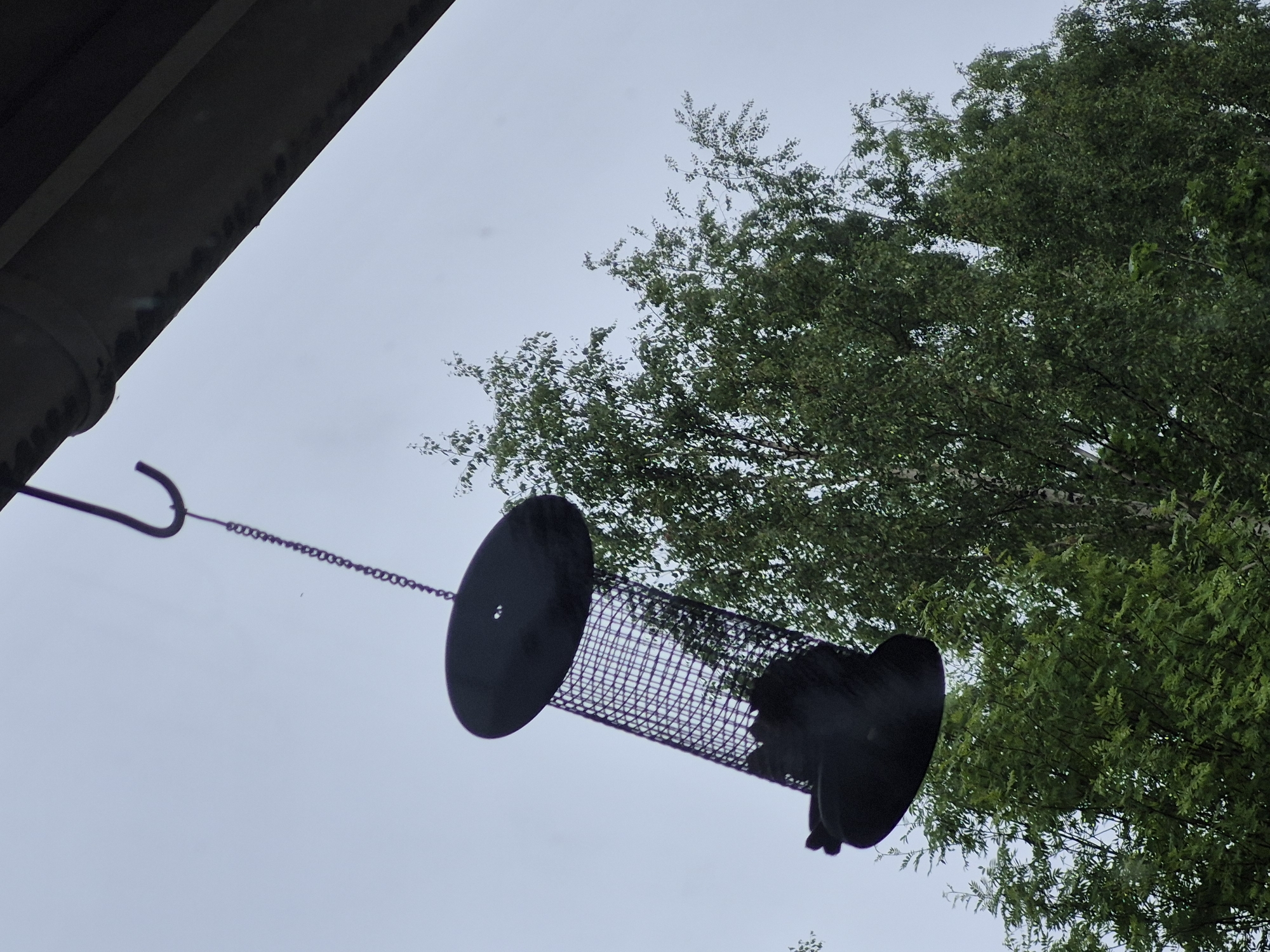A black metal bird feeder hangs from a hook on the eaves of a building. The feeder has a wide, flat lid and a cylindrical mesh body. Below the feeder, a dense canopy of green trees fills the frame. The sky is overcast and a light grey. The image was taken in Liperi, Finland.