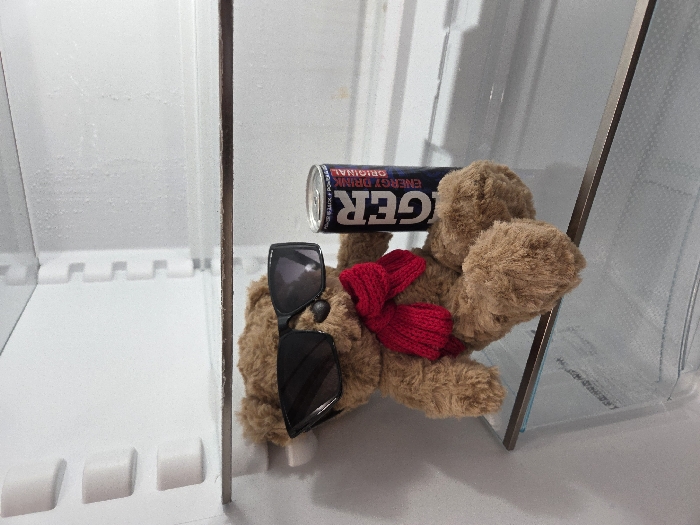The image displays the interior of a refrigerator, identified by its white, insulated walls and clear glass shelves. Condensation droplets are visible on the rear wall of the appliance. A light brown, plush teddy bear occupies a central position on one of the glass shelves. The teddy bear is wearing dark, rectangular-frame sunglasses over its eyes and a red knitted scarf around its neck. To the immediate right of the teddy bear, an upright energy drink can is present on the same shelf. The can is predominantly black and blue, featuring the word "TIGER" prominently in white lettering, with "ENERGY DRINK ORIGINAL" printed underneath. No human subjects are depicted. The scene is reported to be located in Varna, Bulgaria.