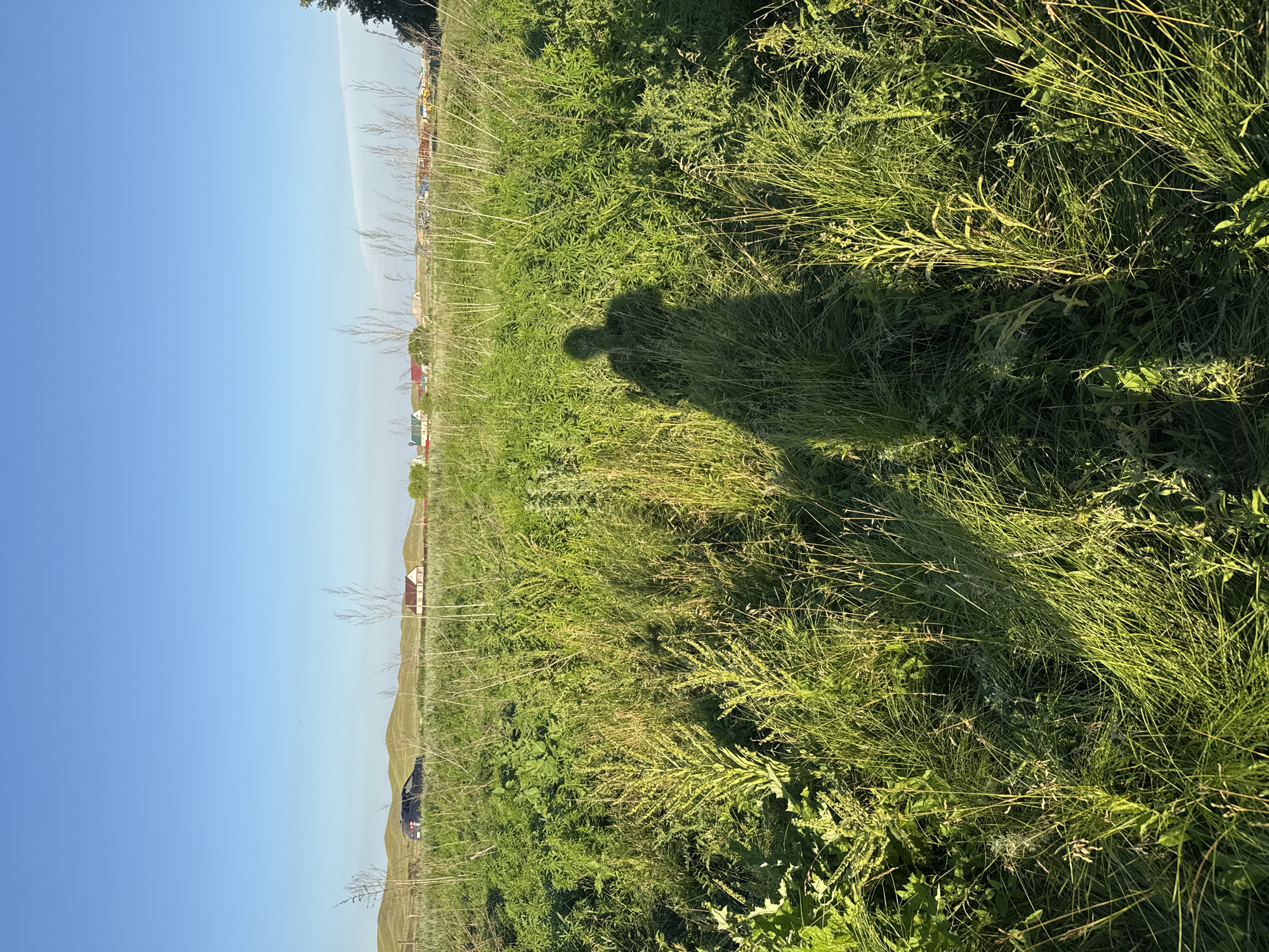 The image depicts a sunny outdoor scene in Starokhalilovo, Russia. The perspective is from a low angle, looking up at a bright blue sky that dominates the left side of the frame. A vast field of tall, green grass and wildflowers stretches across the right side and into the background. In the distance, along the horizon, are glimpses of rural buildings with red roofs, suggesting a village or settlement. A dark-colored vehicle is parked in the middle ground.
A prominent shadow of two people, likely a couple given the silhouette of two distinct heads, is cast upon the grassy field. This suggests the photo was taken by one of the individuals, capturing their presence in the landscape. The lighting indicates it is late afternoon or early evening, with the sun casting long shadows and illuminating the grass with a warm glow. The clear sky and lush greenery suggest fair weather. The overall mood is serene and peaceful, evoking a sense of connection with nature and a quiet moment in a rural setting. No text is visible in the image.