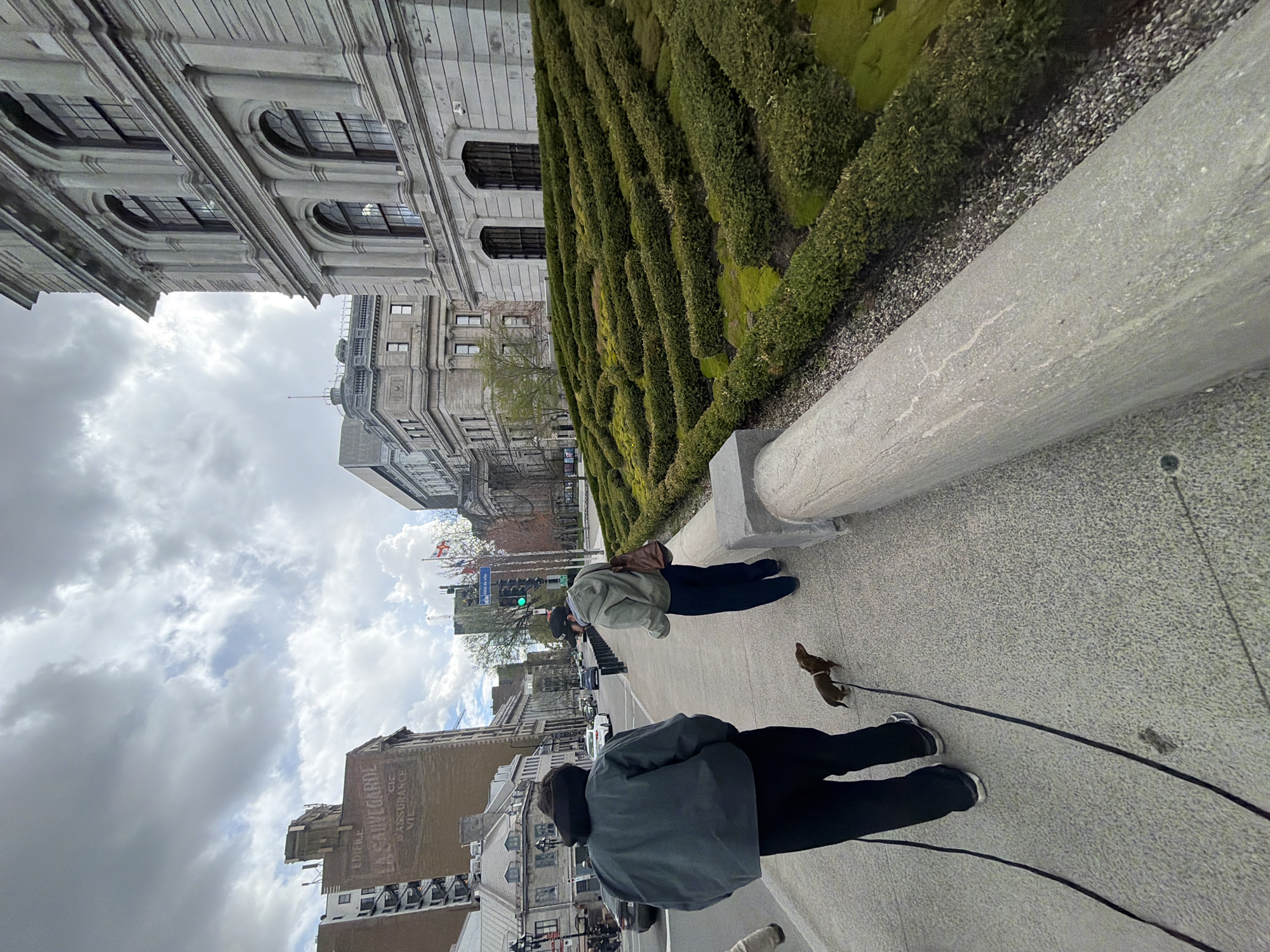 The image depicts a street scene in Montreal, Canada. Two individuals are present, presumably walking small dogs on leashes. Buildings are visible in the background, indicating an urban setting. There's a tall green hedge or vertical garden to the right. One of the buildings has a faded inscription, likely advertising insurance. The sky is overcast.