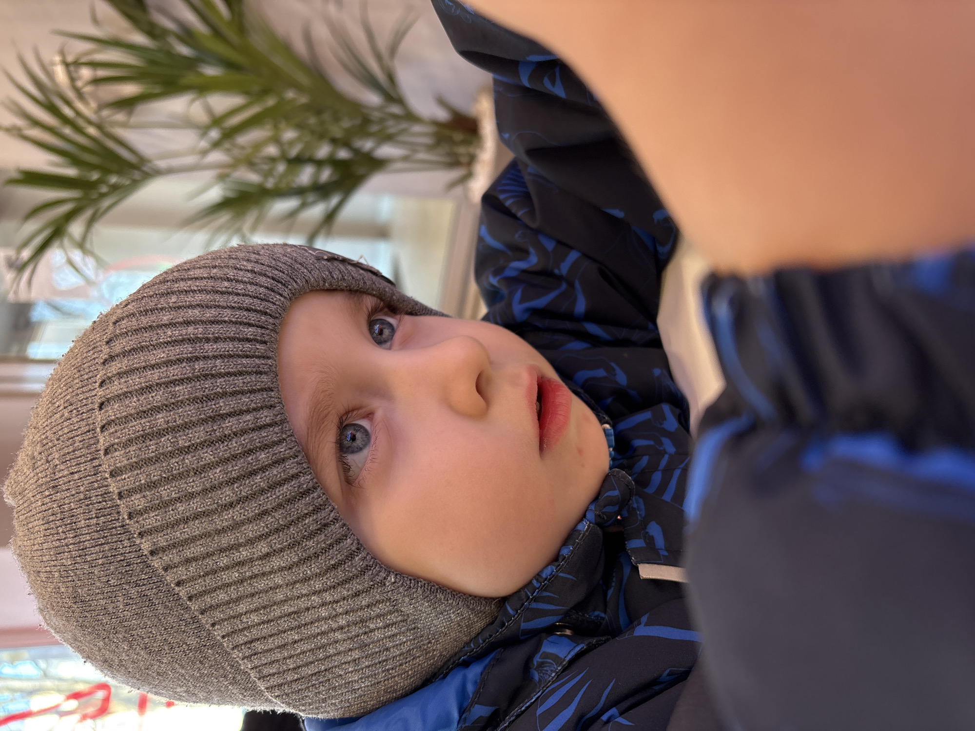 A young child with blue eyes is the primary subject of the image. The child is wearing a gray knitted hat and a blue and black patterned jacket. The angle suggests the photo was taken from an upside-down perspective relative to the child. Behind the child, out of focus, is foliage that may be part of an indoor plant. The location is inferred to be Chaikovsky, Russia, based on provided information.