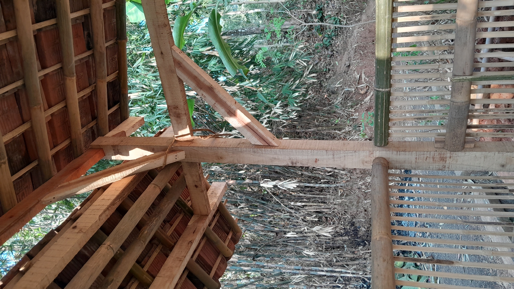 The image depicts a partially constructed wooden and bamboo structure, likely a gazebo or an open-air shelter. The roof is supported by sturdy wooden beams and rafters, with reddish-brown tiles or similar roofing material visible. A large, rough-hewn wooden post serves as a central support, with diagonal wooden beams bracing the structure. In the foreground, a fence made of vertical bamboo poles and horizontal bamboo railings encloses the area. Behind the fence, a dense thicket of bamboo and other lush green vegetation dominates the background. The ground appears to be a mixture of soil and dry leaves. The lighting suggests it is daytime, with sunlight casting shadows on the wooden elements. The setting appears to be a natural, possibly rural, environment. The image does not contain any people. This scene is consistent with a construction site or an established outdoor area in a tropical or subtropical region. Given the context of Sumedang, Indonesia, this could be a rustic shelter being built or maintained within a home garden, a recreational area, or a small agricultural plot.