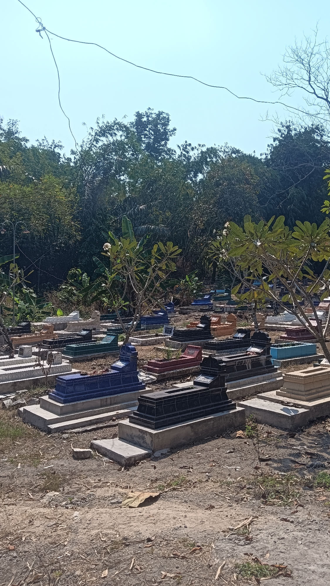 The image depicts a cemetery in Tanggan, Indonesia, under a clear sky. The foreground shows a dry, dirt path littered with fallen leaves and small plants. A variety of rectangular tombstones, some elevated on concrete bases, fill the scene. The tombstones vary in color, including black, blue, red, green, and light brown. Some tombstones have intricate carvings or layered designs. In the midground, several trees with green leaves and white flowers are scattered among the graves. The background is dominated by a dense wall of lush green trees and foliage. A thin electrical wire hangs across the top portion of the image, with a small hook attached to it. The overall impression is of an outdoor burial ground with a mix of grave designs and natural vegetation.