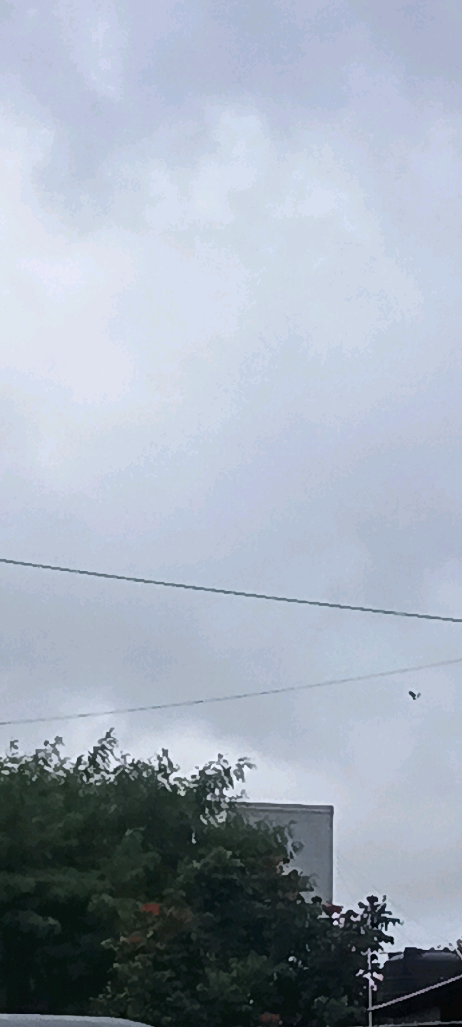 The image shows a cloudy sky over a densely leaved green tree line in Nashik, India. Two horizontal wires are visible across the sky. A dark, indistinct object resembling a bird in flight is present in the upper right quadrant, between the two wires. A portion of a building with a light-colored facade is partially obscured by the trees on the right side of the frame. The overall atmosphere is overcast and somewhat muted.