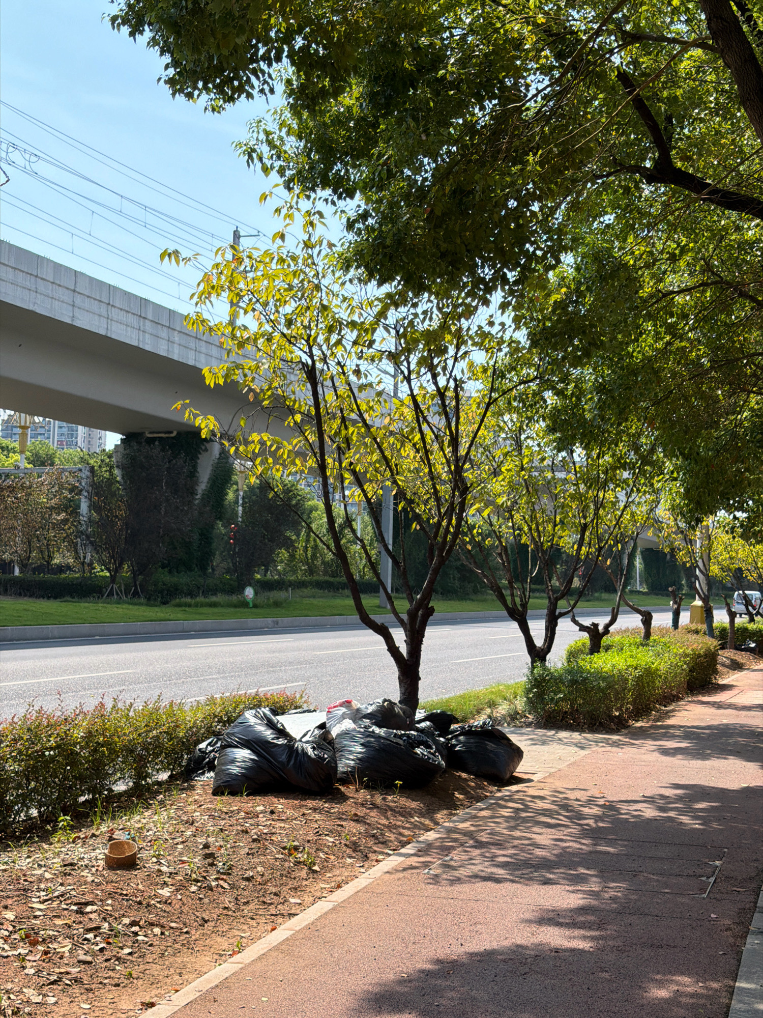 The image depicts a street scene in Jiangjin, China, on a clear, sunny day. A paved pedestrian walkway runs along the right side of the frame, bordered by trees with green and yellowing leaves. To the left of the walkway is a patch of dry, leaf-strewn ground. Piled on this ground are several large black garbage bags. Beyond the garbage bags is a road with white lane markings, with green grass and more trees lining the other side. In the background, a large elevated structure, likely an overpass or highway bridge, spans the scene, with visible electrical wires. Further in the distance, apartment buildings are visible. The overall environment suggests an urban or suburban setting, with elements of infrastructure and vegetation.