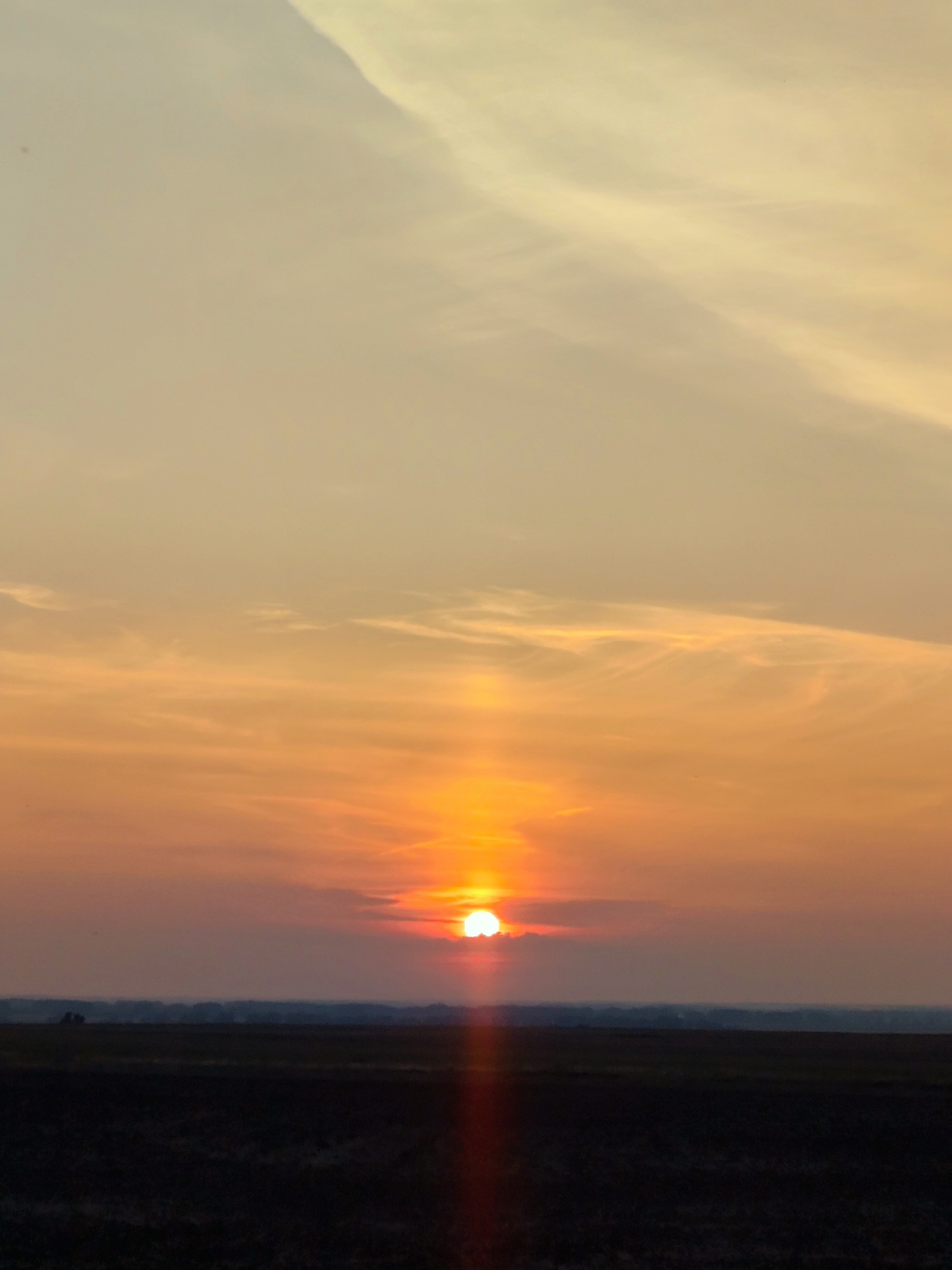 This is a vertical, eye-level photograph of a sunset over a rural landscape. The sun is low on the horizon, partially obscured by clouds, casting a warm orange and yellow glow across the sky. Wispy clouds stretch across the upper portion of the frame, fading into a pale yellow at the top. The middle ground features a dark, flat expanse of land, possibly farmland, with a faint, hazy line of trees or structures in the far distance. A vertical streak of reddish-orange light extends downwards from the sun, suggesting a sunbeam or lens flare. In the far left of the middle ground, two small, dark shapes appear to be farm equipment or trees. The overall scene evokes a sense of tranquility and the end of the day. This scene is located in Roscha rural district, Kazakhstan.