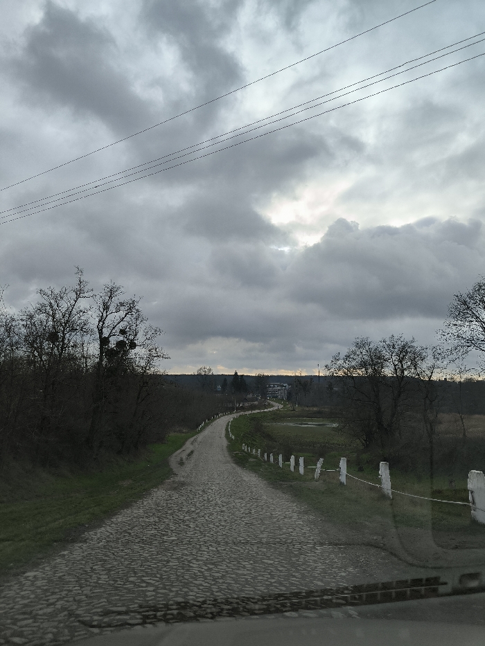 An exterior scene depicts a rural road in Khrinivka, Ukraine, viewed from a low vantage point, possibly from inside a vehicle due to the visible lower windshield or dashboard edge at the bottom. The central feature is a cobblestone road, winding to the left into the mid-ground. To the left of the road, a dense thicket of deciduous trees, currently bare of leaves, lines the path; some trees exhibit clumps of mistletoe. To the right of the road, a fence composed of regularly spaced white vertical posts connected by a horizontal line (possibly wire or rope) separates the road from a low-lying, partially inundated or marshy field. In the far background, beyond the trees and fields, several buildings are visible, including a multi-story structure with an identifiable roofline. The sky is largely overcast with heavy, dark grey clouds, although a brighter, diffused patch of light is evident in the upper right quadrant. Multiple parallel utility lines traverse the upper portion of the sky. No individuals, animals, or other vehicles are present in the visible portion of the scene. The overall lighting is dim, consistent with an overcast day in late autumn, winter, or early spring.