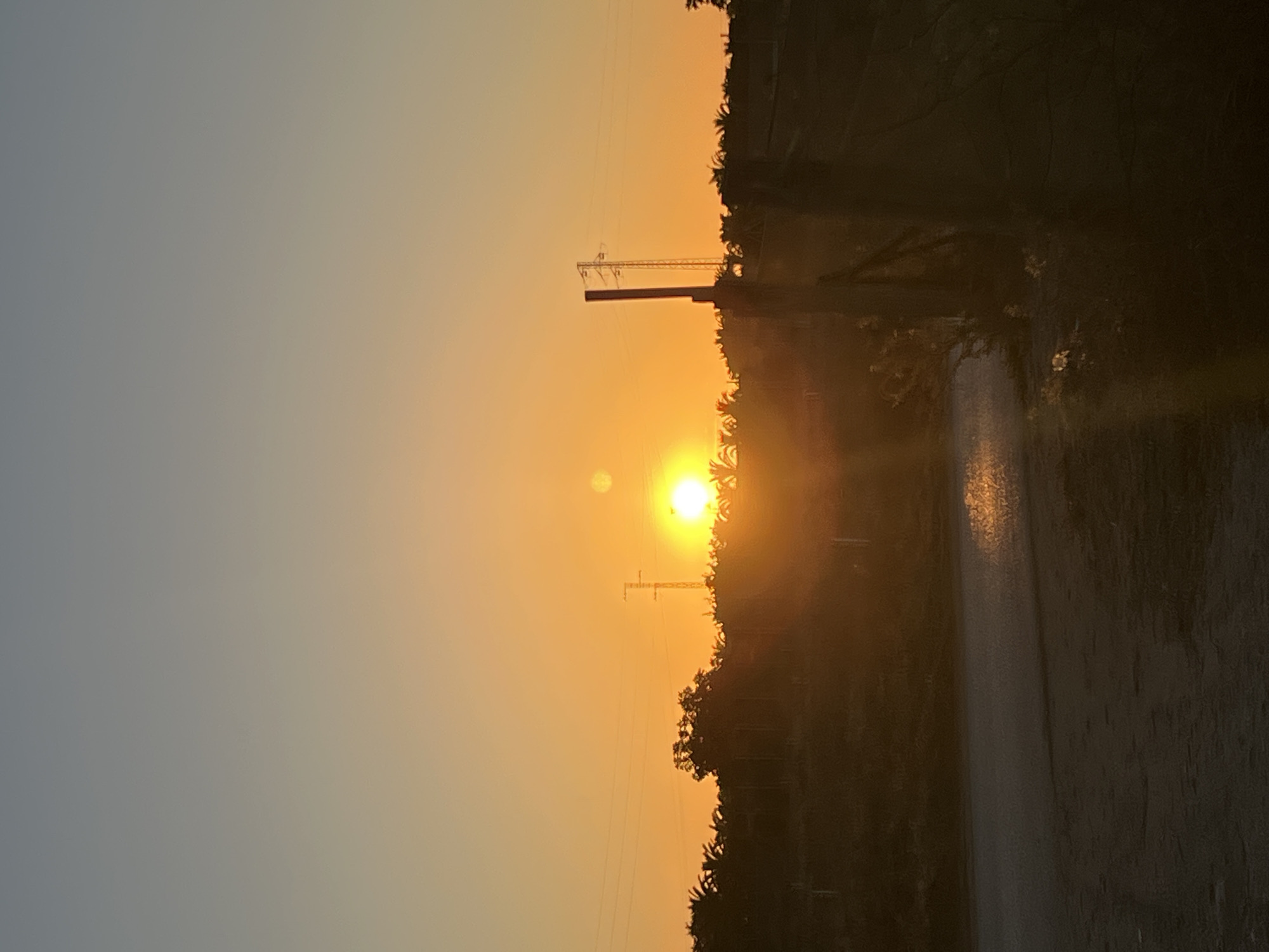 The image depicts a sunset scene with a warm orange glow illuminating the sky. The sun is prominently visible, casting a bright light. In the foreground, a paved road is visible, reflecting the sunset's light. Beyond the road, a dark, silhouetted landscape of trees and foliage stretches across the horizon. A tall, slender electrical tower stands amidst the trees, suggesting the presence of infrastructure in the area. The scene has a serene and tranquil atmosphere, typical of a sunset in an open, possibly rural or semi-rural, setting. Based on the visual cues of palm trees and the overall landscape, the image could be located in the coastal region of Chipiona, Spain, known for its abundant sunshine and palm-lined avenues.