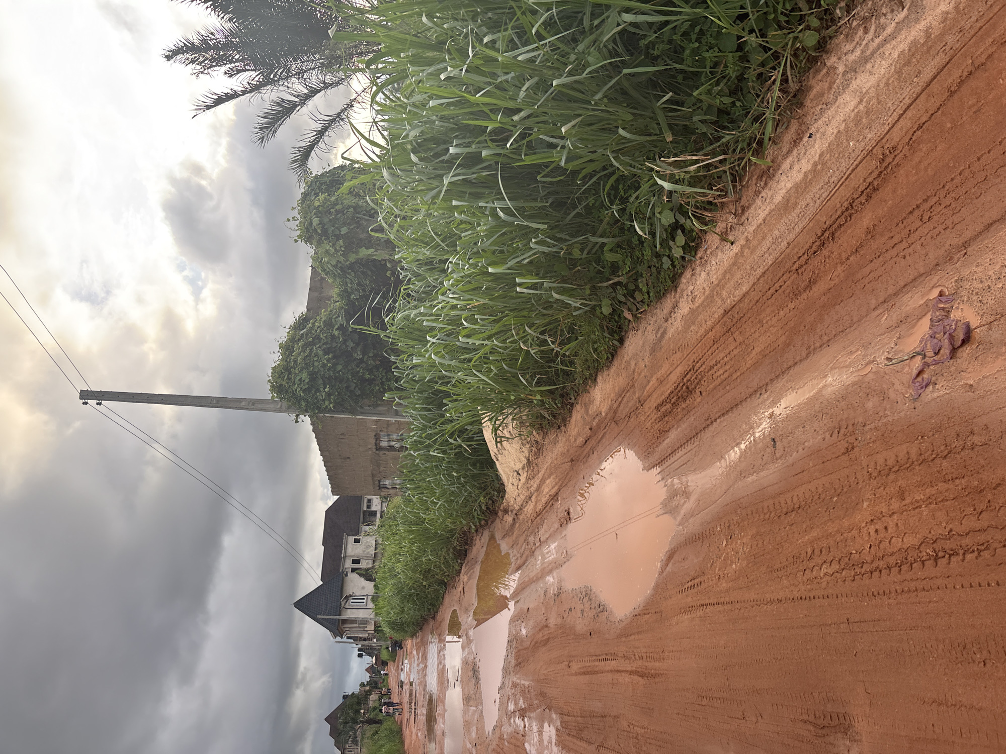 The image depicts a muddy, unpaved road in Obosi, Nigeria, with tire tracks clearly visible. Several large puddles of reddish-brown water have formed on the road surface. On the right side of the road, tall green grass grows densely, bordering a sandy embankment. In the background, to the left, are several houses, some appearing incomplete. A prominent dark-colored conical roof stands out on one of the houses. A utility pole with wires is visible in the middle ground, with vegetation growing around its base. The sky is overcast with dramatic, cloudy formations, suggesting a recent or impending rainfall. A few people are walking in the distance on the road. The overall scene conveys a sense of rural or semi-urban development in Obosi, with an unmaintained road infrastructure.