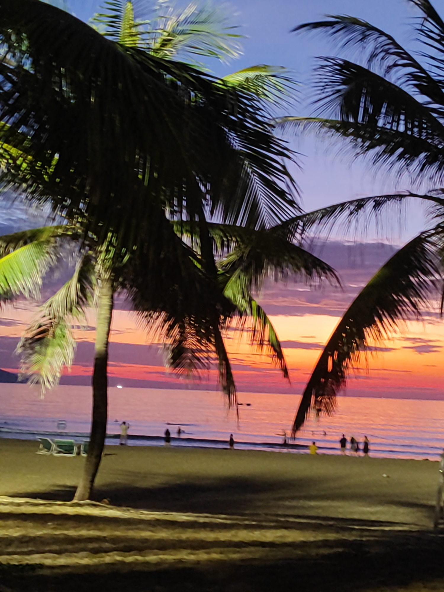 This image depicts a sunset on a beach in Đà Nẵng, Vietnam. The scene is framed by the dark silhouettes of multiple palm trees in the foreground, with one prominent tree trunk visible on the left. The sky exhibits a vivid horizontal gradient of colors, transitioning from blue at the top, through purples and lavenders with scattered clouds, to intense orange and red hues closer to the horizon. The ocean surface reflects these sunset colors, appearing calm with a gentle swell. On the sandy beach, two green lounge chairs are visible on the left. Several individuals are present on the beach and wading in the shallow water. One person in a light-colored top stands near the water's edge, facing the ocean, while a group of three to four people are partially submerged further to the right. The lower foreground of the beach is in shadow, indicating the low light conditions of twilight.