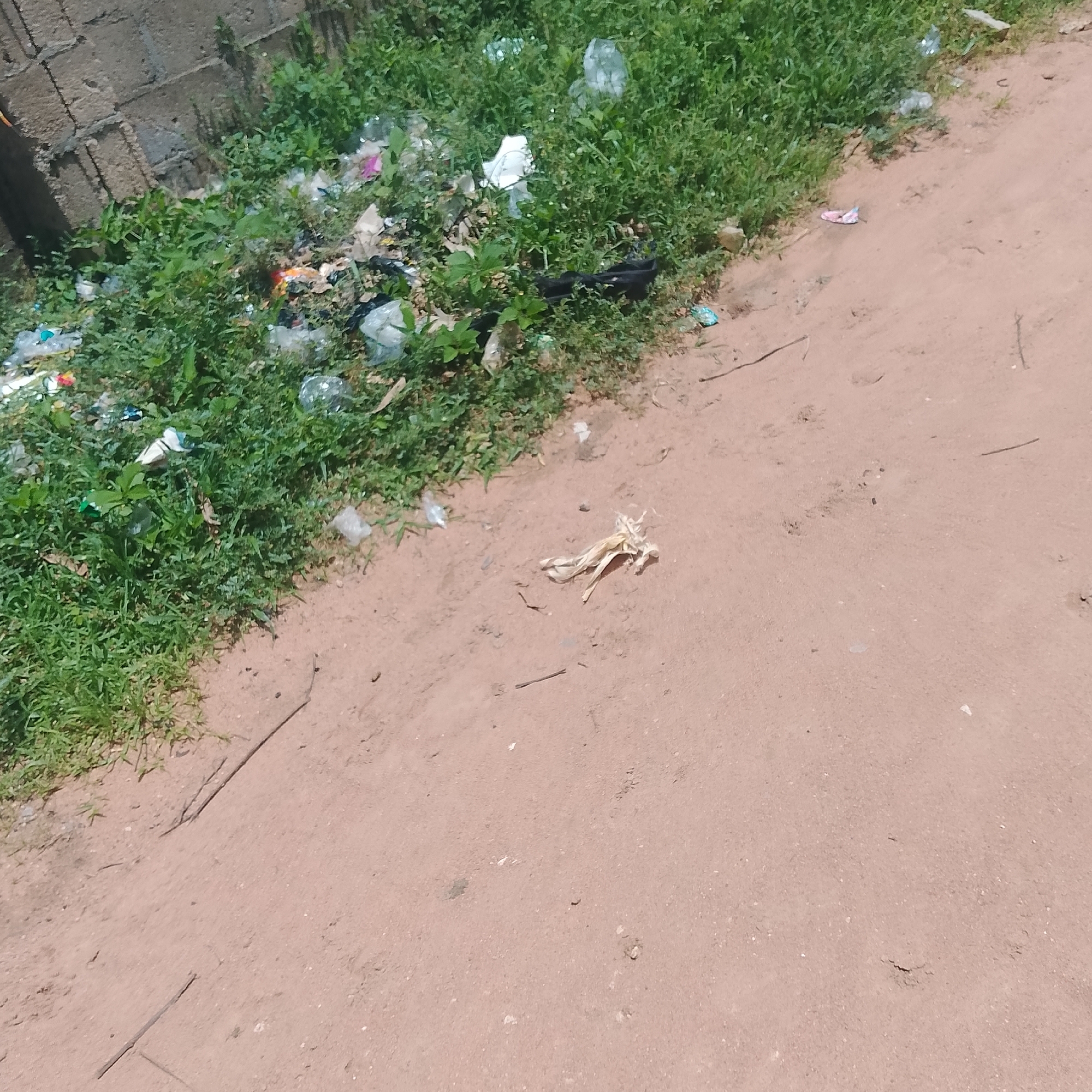 The image depicts a roadside scene in Jalingo, Nigeria, characterized by a mixture of natural vegetation and discarded waste. A brick wall forms a backdrop on the left side of the frame, with green grass and weeds growing densely in front of it. Interspersed within the vegetation are various pieces of litter, including plastic bottles, bags, and paper wrappings, suggesting a lack of proper waste disposal. A dirt or sandy road runs alongside the grassy area, stretching into the foreground and background.
In the middle ground, a small cluster of dry, straw-like material lies on the road, possibly natural debris. The lighting suggests it is daytime, with no specific indication of the time of day or weather conditions beyond the presence of daylight. The overall scene evokes a sense of urban or semi-urban neglect due to the visible litter. There is no text visible in the image. The focus is on the juxtaposition of the natural environment with human-generated waste in a common roadside setting.