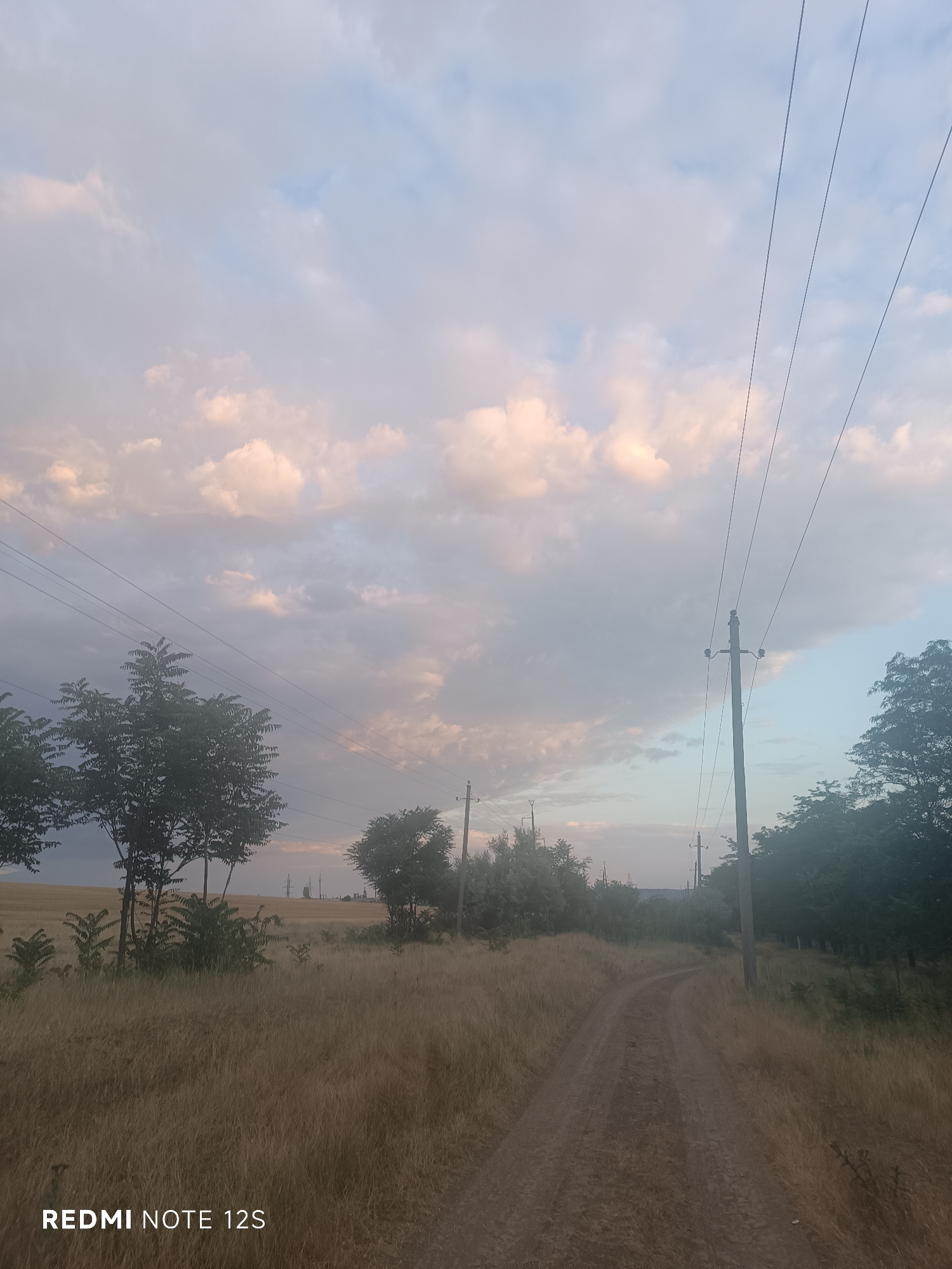 The image shows a dirt road winding through a dry, grassy field. On either side of the road, there are trees and vegetation. In the background, there are power lines and poles stretching across the landscape. The sky is partially cloudy with soft, pinkish-white clouds, suggesting it might be either sunrise or sunset. The overall scene depicts a rural or semi-rural environment. There are no people or animals visible in the image.