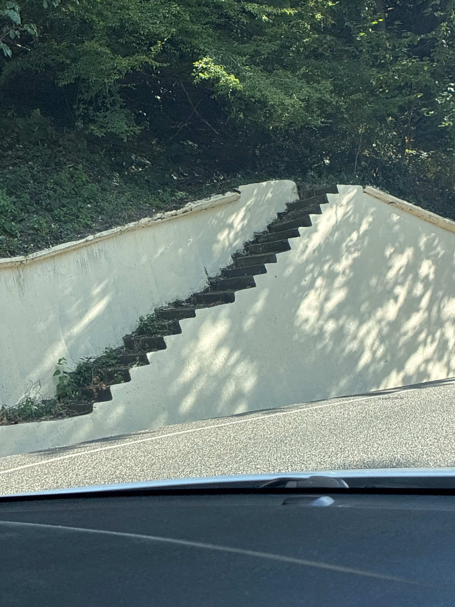 The image shows an outdoor scene featuring a weathered concrete retaining wall with a series of concrete steps leading upwards. Overgrown greenery, including small plants and weeds, is visible growing in and around the steps and along the base of the wall. Behind the wall, a dense mass of trees and foliage creates a shaded backdrop. The foreground shows a portion of a paved road surface, with a dark car interior visible at the very bottom of the frame. Sunlight casts dappled shadows from the trees onto the wall and steps, indicating it is daytime. The scene appears to be located on a sloped area, possibly a roadside embankment, within the city of Tuapse, Russia.