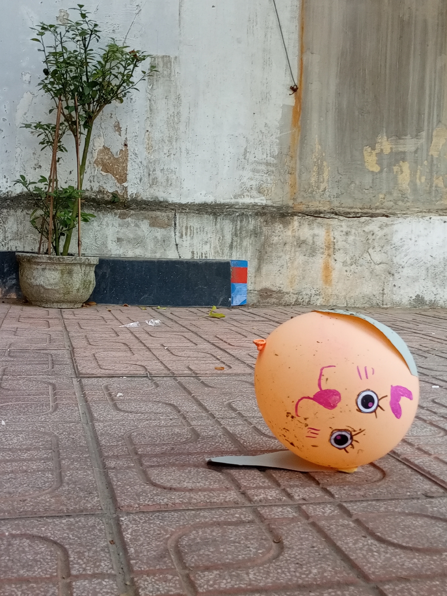 A deflated, light orange balloon with a rudimentary face drawn on it rests on a patterned brick sidewalk in Bắc Nha Trang, Vietnam. The face, rendered in pink and black marker, features two eyes, eyelashes, a nose, and a simple hairstyle represented by a gray paper attachment. The balloon has dirt smudges. It leans against a piece of metal, possibly part of the balloon's attachment mechanism.
In the background, a small potted tree sits adjacent to a heavily weathered concrete wall. The wall's lower section is divided by a dark gray barrier, possibly the base of the wall itself. The sidewalk extends in a diagonal direction away from the viewer. The overall lighting suggests it is daytime. The scene appears still and devoid of human presence or interaction.