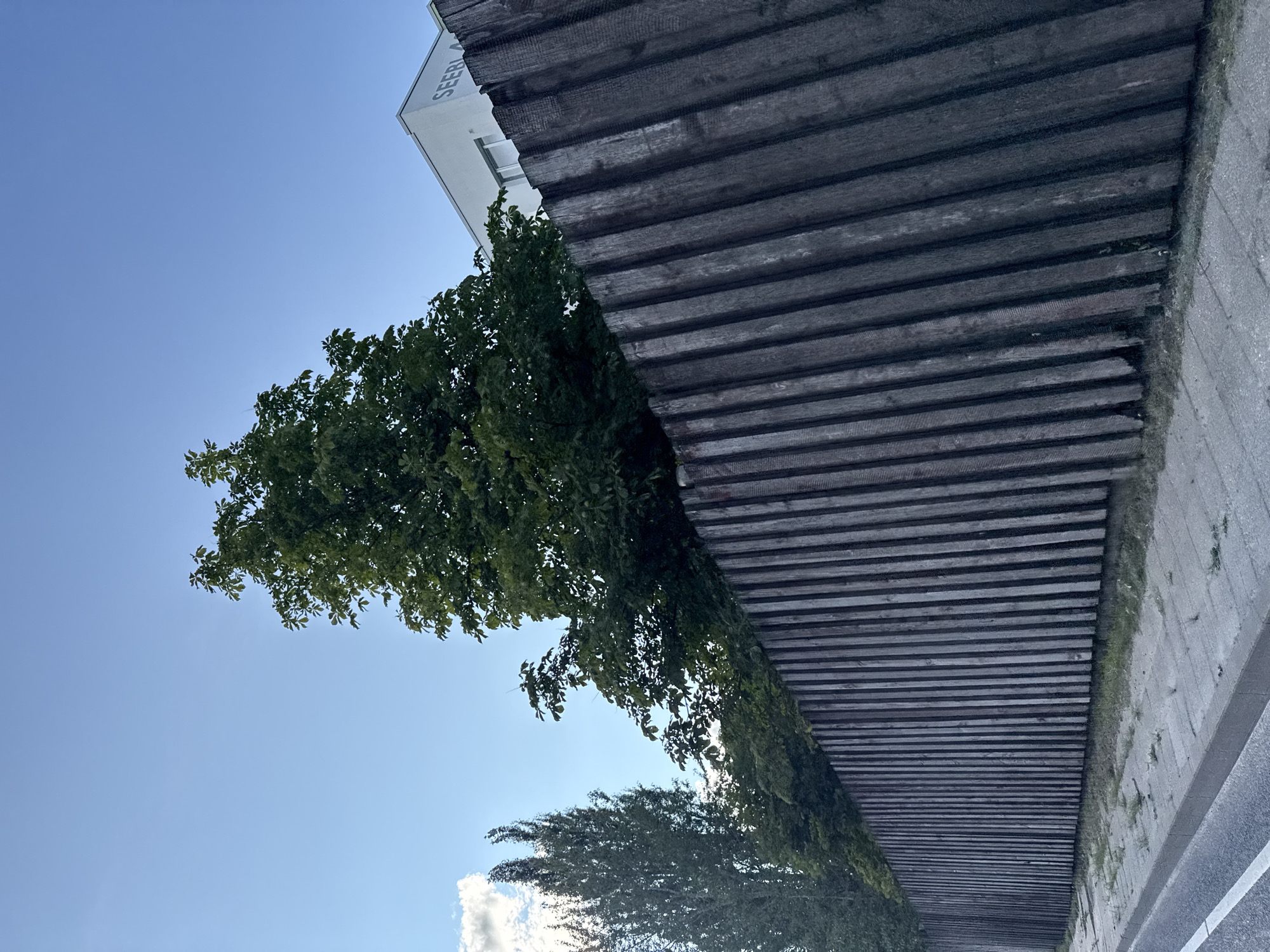 The image depicts an outdoor scene with a dark wooden fence in the foreground, constructed from vertical planks that are angled upwards and to the right. Beyond the fence, lush green trees are visible, including a tall, slender tree on the left and a broader, leafier tree in the center. To the right, a portion of a modern, white building with visible windows and the word "SEERLA" in dark lettering on its facade is present. The sky is a clear, bright blue with a few wispy white clouds on the far left. A paved sidewalk runs along the base of the fence, with a road or asphalt surface to the left of the sidewalk. The scene appears to be a daytime exterior shot. The presence of the building with lettering suggests an urban or suburban setting. Given the information provided, the location is identified as Tallinn, Estonia.
