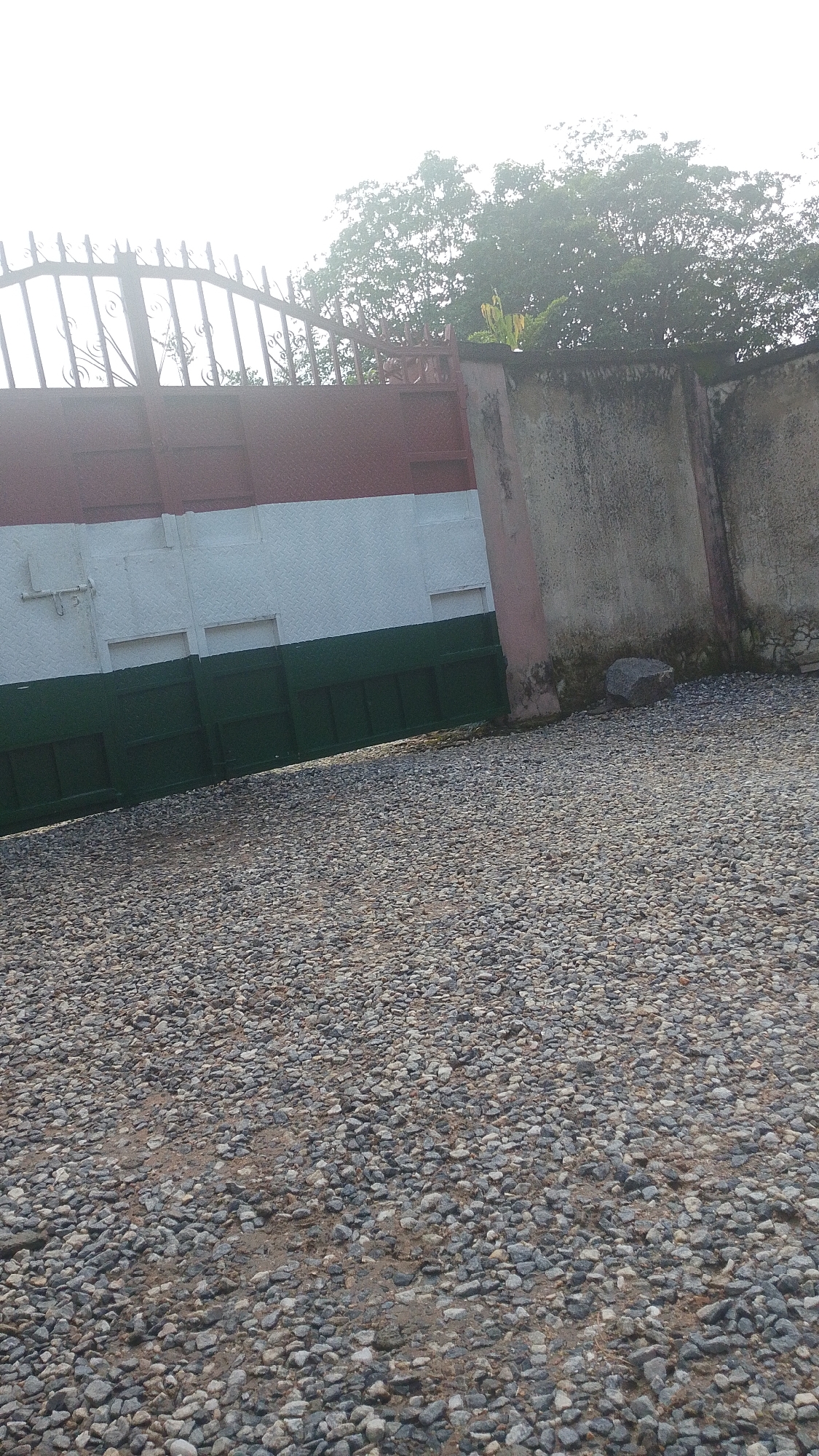 A wide-angle, eye-level, vertical shot captures a gravel driveway leading up to a large, closed, tri-colored gate. The gate is painted red at the top, white in the middle, and dark green at the bottom. Decorative metalwork crowns the red section of the gate. To the right of the gate, a portion of a rough, concrete wall with pink trim is visible. Beyond the wall, lush green trees are silhouetted against an overcast sky. The driveway is covered in small, greyish-brown gravel, with patches of damp earth showing through. A single, dark grey rock rests on the ground near the base of the wall. No people or animals are present in the image.