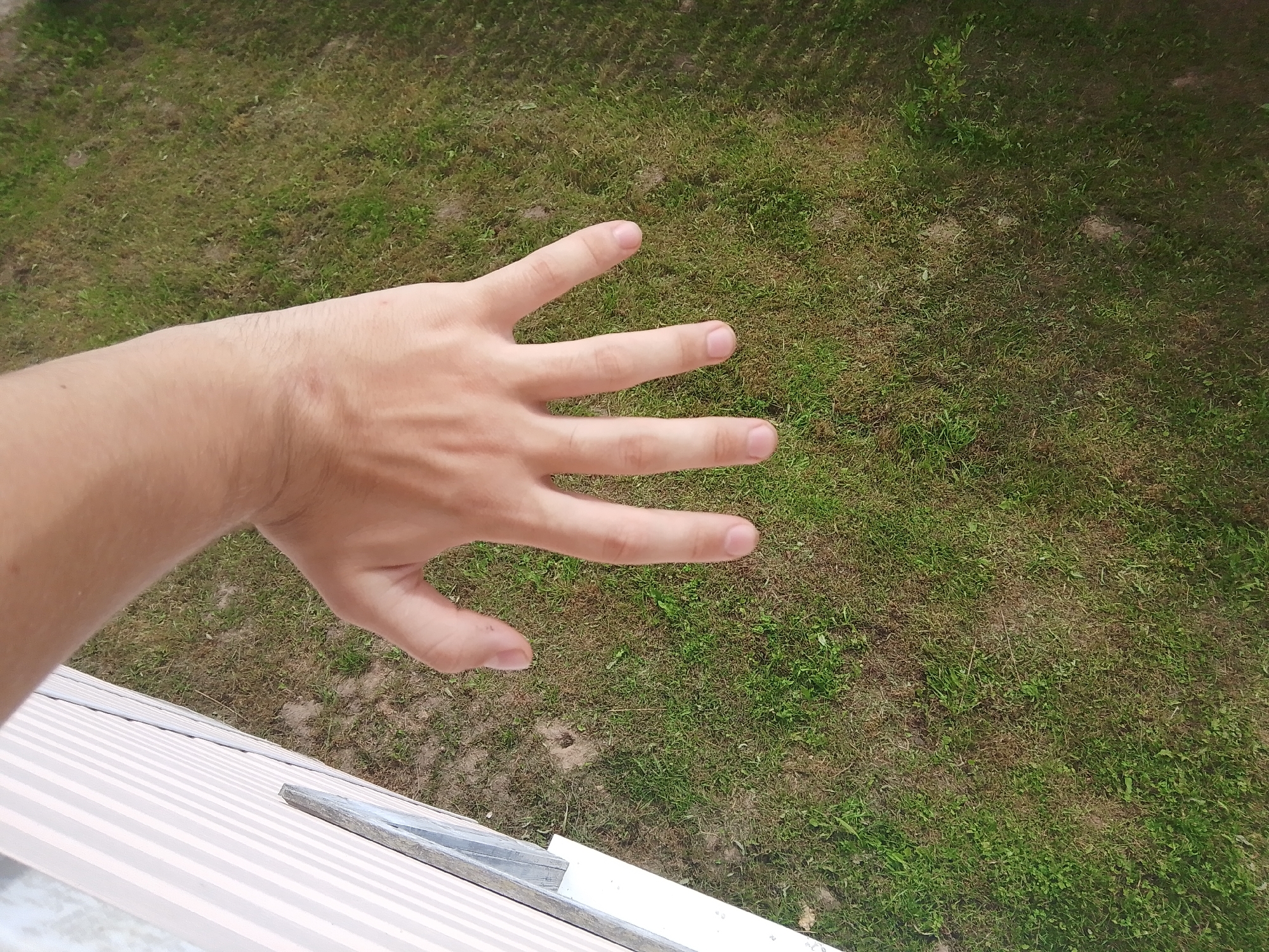 The image shows a person's hand, held palm up, with fingers extended. The background is a patch of grass and dirt. A striped surface is visible in the lower left corner. The image was taken in the city of Pudozh, Russia.