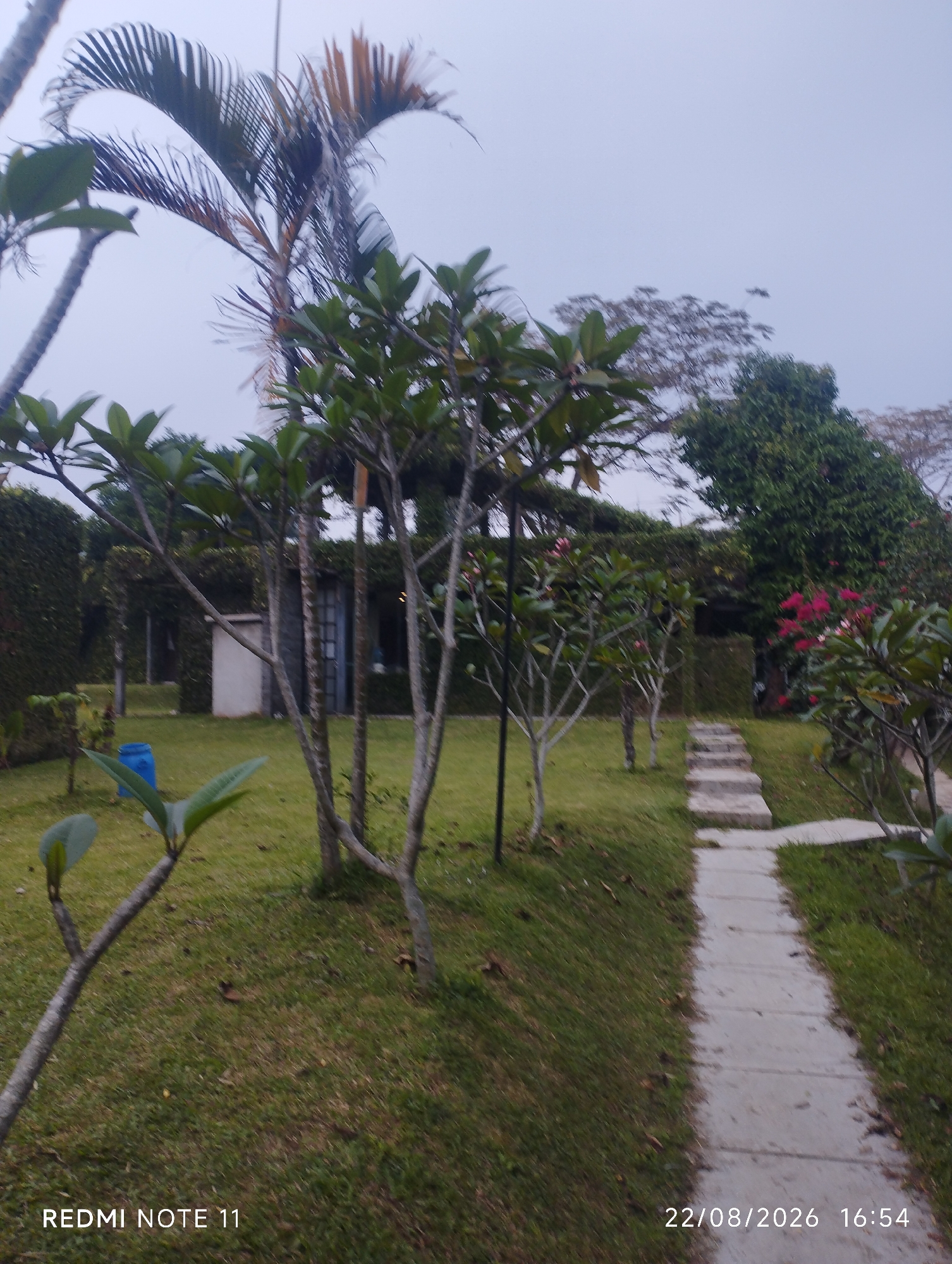 The image depicts a serene outdoor scene in Subang, Indonesia, likely at a private residence or resort. A stone pathway winds through a well-maintained garden with lush green grass. Several trees with thin trunks and sparse foliage are scattered throughout the garden, some with small, pink flowers. A tall palm tree stands prominently on the left side of the frame. In the background, a building with a white facade and a glass-paneled door is visible, partially obscured by the trees and greenery. A bright blue barrel is situated on the left side of the pathway. The sky is overcast, suggesting a cloudy or hazy day. The timestamp "22/08/2026 16:54" and the text "REDMI NOTE 11" are imprinted on the bottom of the image. There are no people visible in the frame.