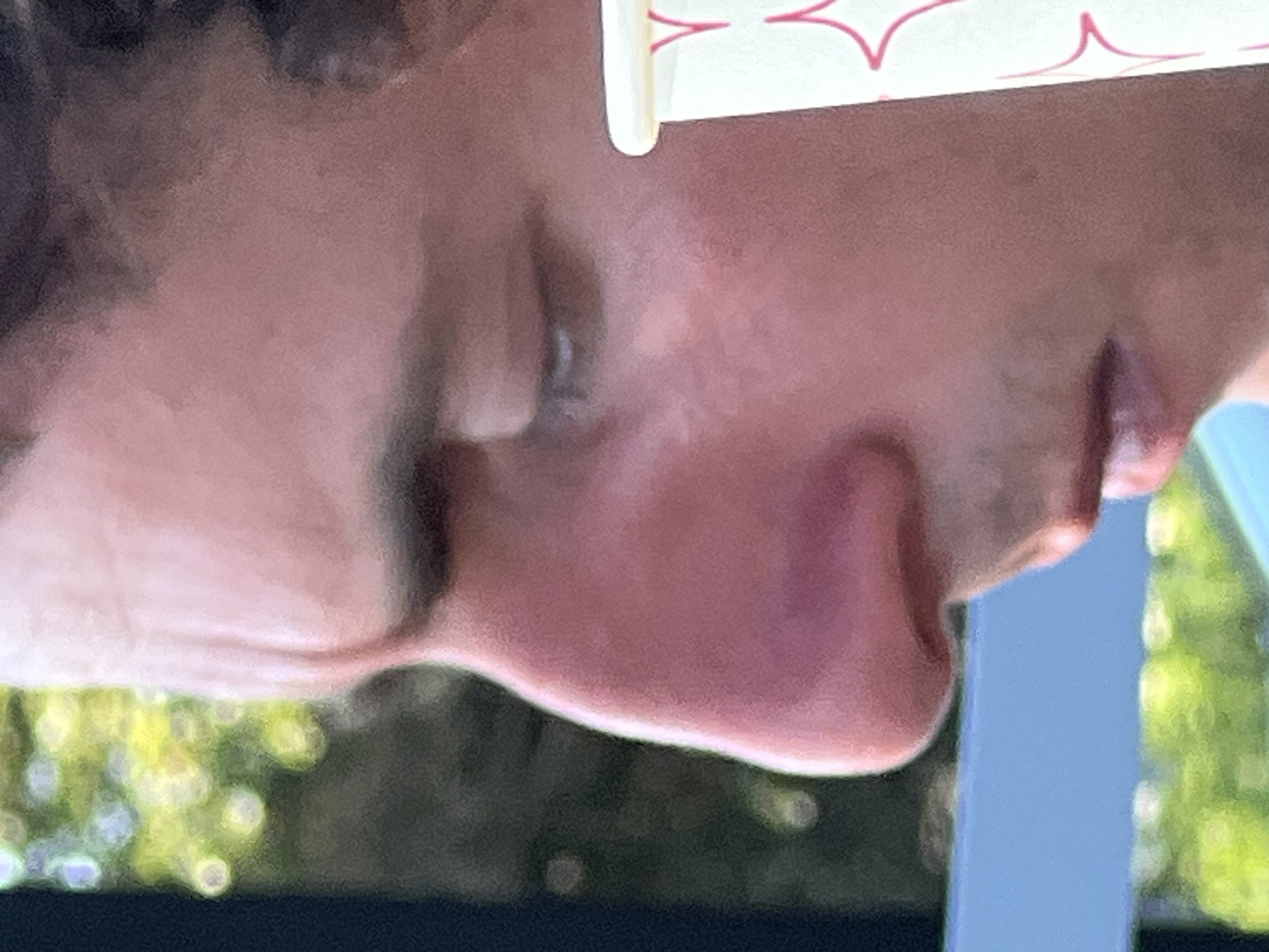 The media file is a close-up, side profile of a person's face, primarily featuring their nose, mouth, and chin. The image is oriented vertically, with the top of the person's head at the bottom of the frame and their feet at the top. The person appears to be young, with smooth skin and a light complexion. Their mouth is slightly open, and their lips are full. A portion of a white paper cup with red decorative lines is visible at the top of the frame, suggesting the person might be holding or drinking from it.
The background is blurred, but hints of green foliage and a blue object are discernible, implying an outdoor setting. The lighting suggests it could be daytime, with soft light illuminating the person's face. The overall impression is one of casualness, possibly a candid moment.
No specific activity or event is clearly depicted, other than the person's relaxed posture and presence with a beverage. The emotional state is neutral or relaxed, with no strong indicators of happiness, sadness, or distress.
There is no discernible text in the image, other than the abstract red design on the paper cup. The location context of Ochamchire, Abkhazia, does not provide any direct visual cues within the frame itself.