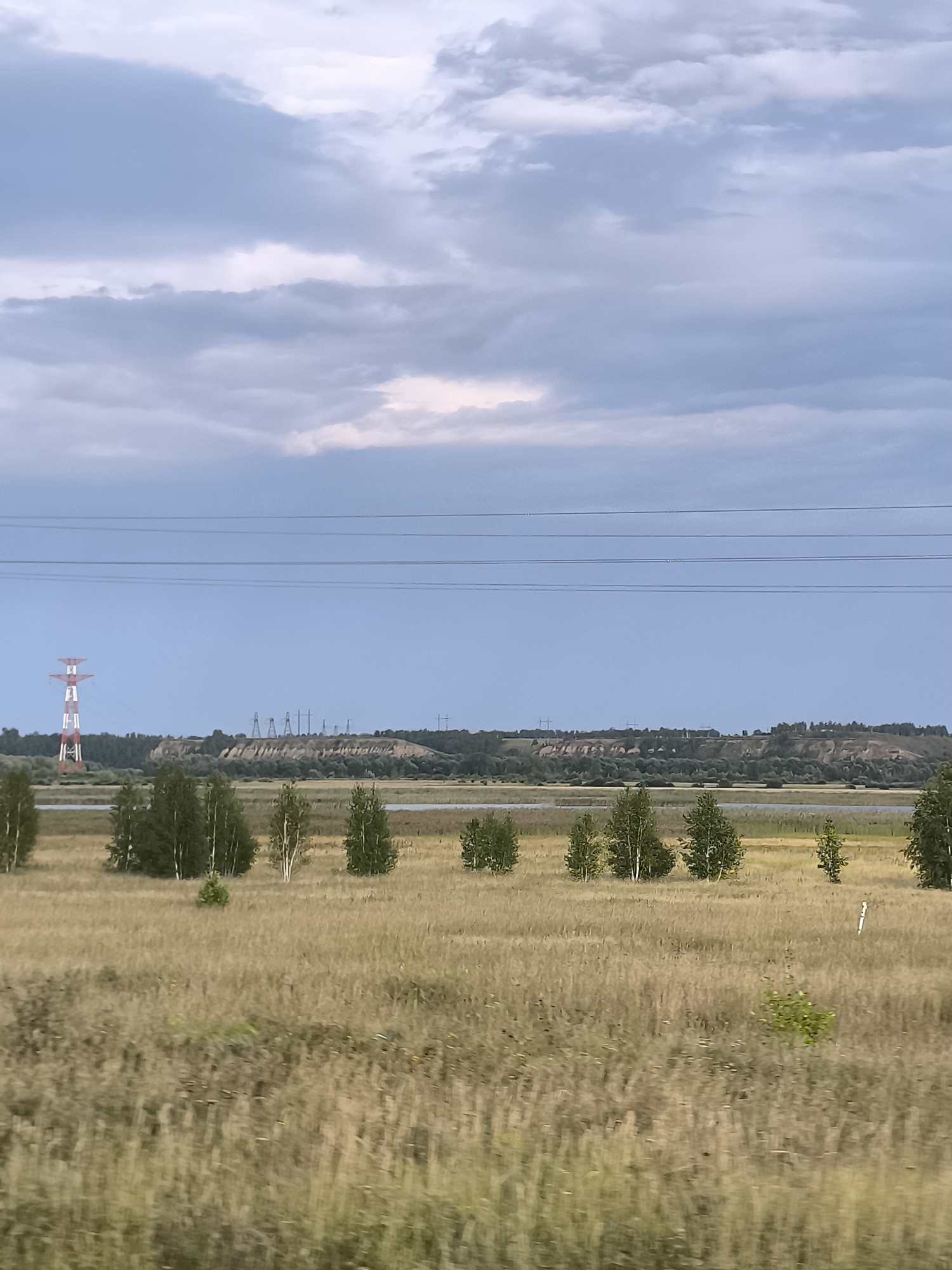 A long-shot landscape photograph captures a rural scene under a cloudy sky. In the foreground, a field of dry, golden grass stretches across the frame, with a few small green bushes interspersed. A line of birch trees stands further back, their white bark contrasting with the muted tones of the grass. Beyond the trees, a body of water is visible, reflecting the sky. In the distance, a range of hills is covered in dense green trees. A large red and white power tower stands to the left of the frame, with power lines stretching across the sky. Several smaller power towers are visible along the ridgeline of the hills. The overall impression is one of open space and natural beauty, with industrial elements present in the background.