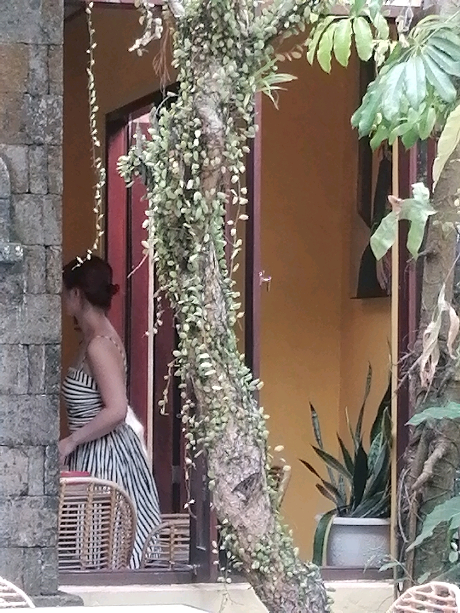 A medium shot captures a woman standing near an open doorway in what appears to be an outdoor setting with lush greenery. The woman, facing left and seen from the side, is wearing a black and white striped dress. Her hair is pulled back in a bun, and she has a red clip in her hair. She is positioned beside a stone wall on the left side of the frame and a wooden doorway with a dark red door on the right. A tree trunk heavily covered in small green leaves and vines stands prominently in the foreground, partially obscuring the woman and the doorway. Behind the woman, a woven chair with a red cushion is visible. Further into the doorway, a snake plant in a white pot is situated on a ledge. The background wall is a warm orange color. The scene suggests a tropical environment, possibly a villa or guesthouse in Ubud District, Indonesia, given the architectural style and abundant plant life.