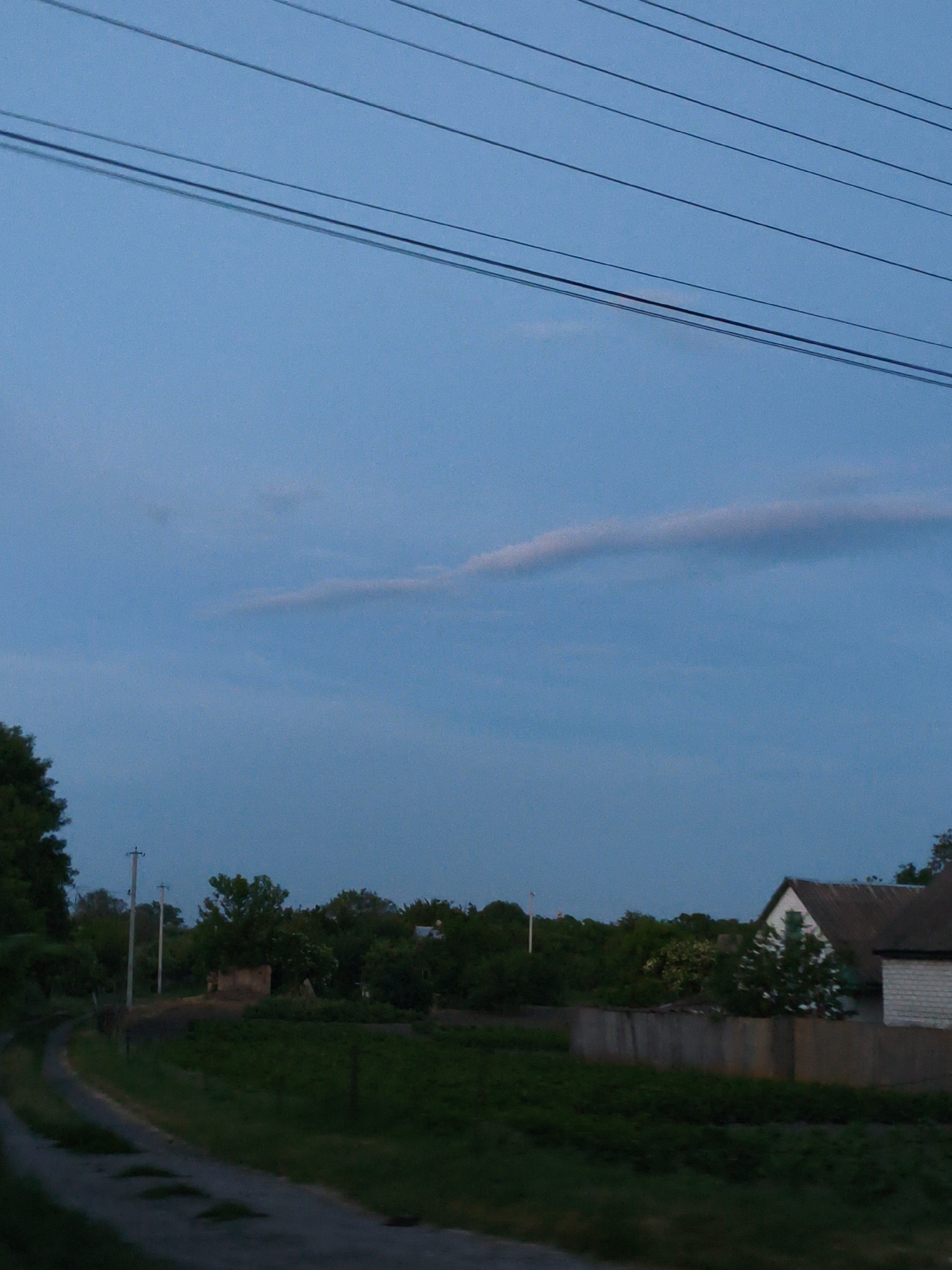 The image depicts a rural scene in Ustyvytsia, Ukraine, during dusk. The sky is a deep blue with a faint, elongated pink cloud streaking horizontally. Several power lines are visible against the sky. In the foreground, a dirt road curves to the left. The middle ground features a stretch of green grass and vegetation. Further back, there are several houses with dark roofs and some trees. Two utility poles with wires are also present. In the background, more trees and vegetation obscure the horizon. The overall atmosphere is calm and serene, characteristic of a rural evening.