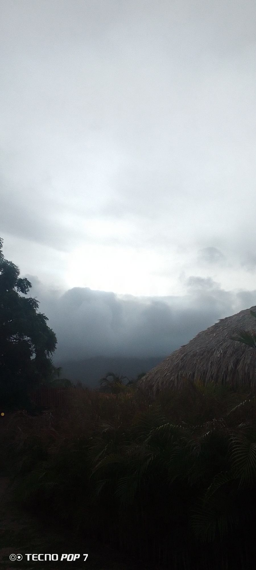 The image captures an overcast scene in what appears to be a mountainous or hilly area, likely Pedro González, Venezuela. The sky is uniformly gray with dense cloud cover. In the foreground, there's dense vegetation including trees and palm-like plants. The right side of the frame features a thatched roof structure. The middle ground shows a slightly obscured view of a landscape that may include mountains or hills, shrouded in mist or low-lying clouds. The overall lighting is dim, emphasizing the dark, muted tones of the vegetation and landscape elements. The camera model, TECNO POP 7, is displayed in the bottom left corner of the image. There are no visible people.