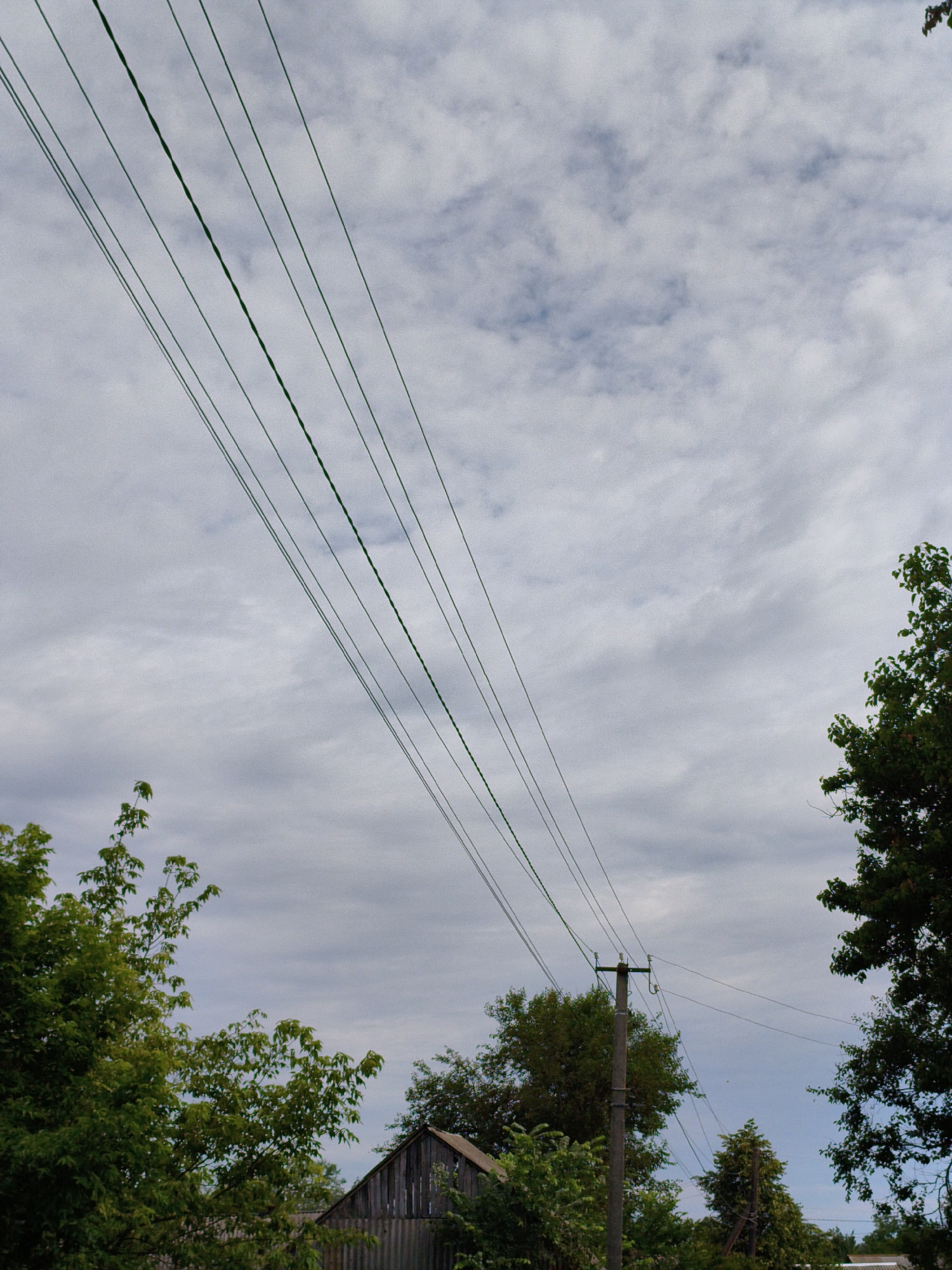 This is a vertical, medium-shot photograph taken outdoors under a cloudy sky. The main subjects are a series of parallel green power lines stretching diagonally across the frame from the top left towards the bottom right. Below the power lines, a rural scene unfolds with lush green trees in the foreground and mid-ground, partially obscuring a rustic wooden structure, possibly a shed or house, with a corrugated roof.
A utility pole, likely made of concrete, stands prominently in the mid-ground, supporting the power lines and creating a visual anchor in the composition. The trees are dense with leaves, suggesting a warm season, possibly summer. The sky is overcast with a mix of light and dark gray clouds, indicating a potentially overcast or pre-stormy day. There are no people visible in the image, and no text is present. The overall impression is one of a quiet, rural landscape in Ukraine, with the functional element of the power lines contrasted against the natural beauty of the trees and the simplicity of the rural architecture. The time of day is not definitively clear due to the overcast conditions, but it appears to be daytime.