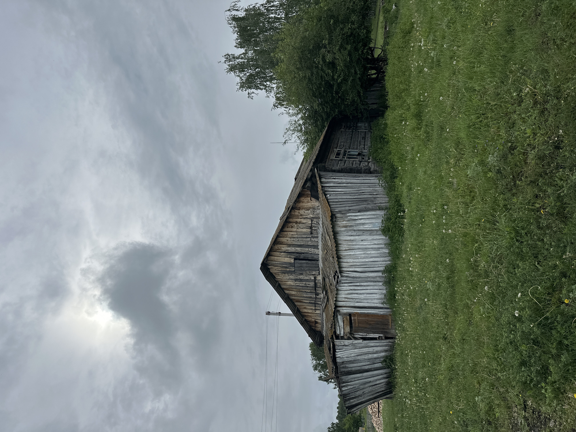 An exterior, eye-level, full shot captures a dilapidated wooden structure situated in a grassy field under a cloudy sky. The building, appearing weathered and aged, displays a sloping roof and walls constructed from vertical wooden planks. A section of the structure is covered with a corrugated roof, which is sagging. The main body of the building is made of darker, horizontal wooden logs, with a visible door and a broken window. To the right of the building, a large tree with dense green foliage grows. The foreground consists of a field of green grass dotted with small white flowers. In the background, a stack of logs is visible to the left, and more trees line the horizon. The sky is overcast with some lighter patches suggesting diffused sunlight. The overall scene conveys a sense of abandonment and decay.