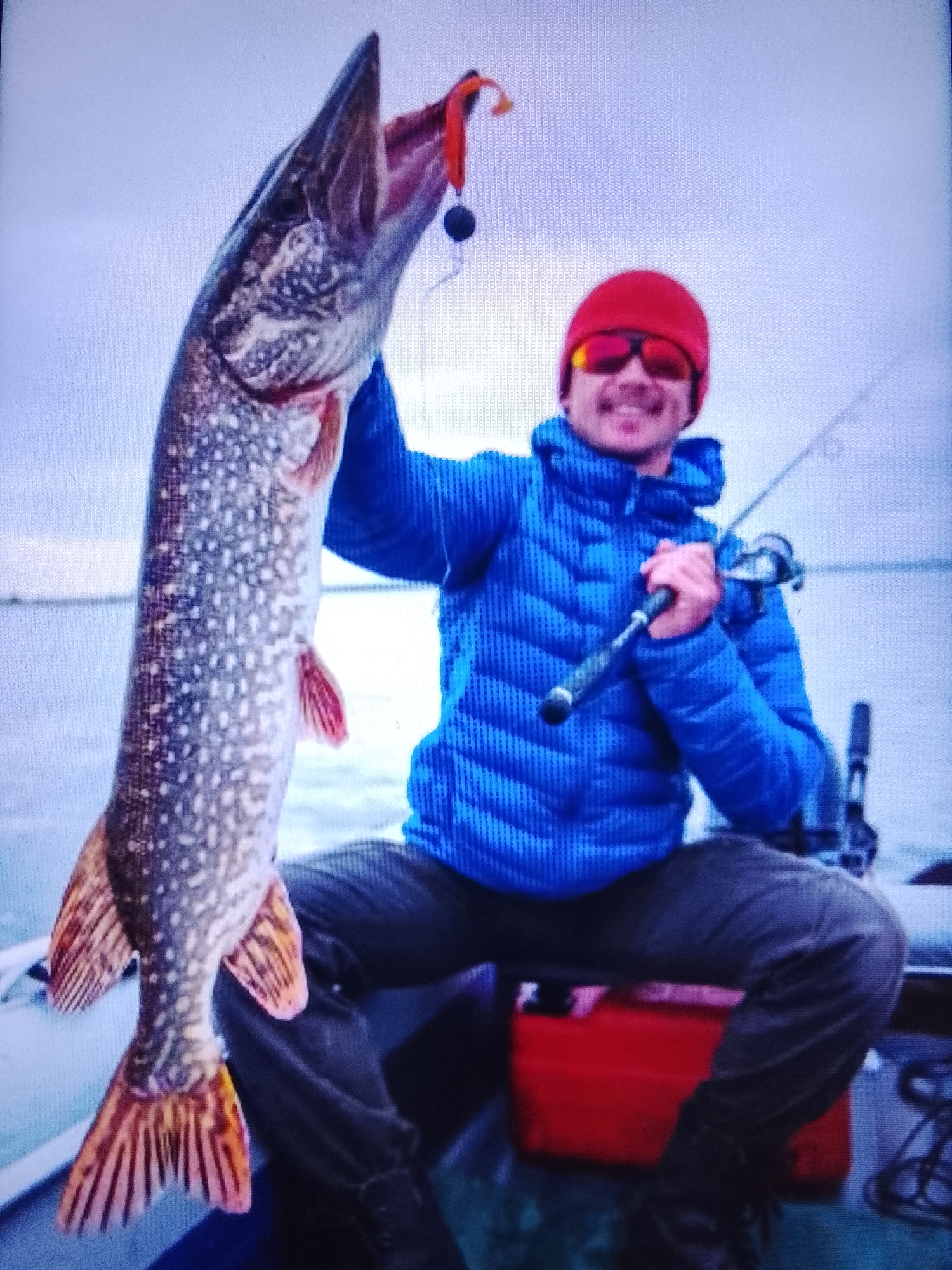 A man in a blue puffer jacket, red beanie, and sunglasses is sitting in a boat and holding up a large Northern Pike. The fish's mouth is open, and a lure is visible inside. The man is smiling at the camera. Behind him, a fishing rod is visible, and a red cooler is below his legs. The background appears to be a body of water with a pale sky. The location is not specified in the image.