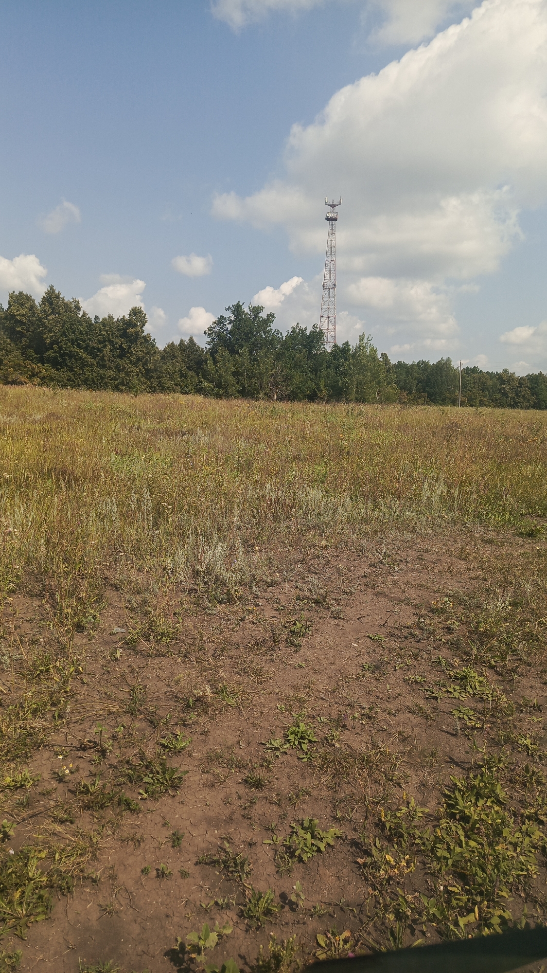 A tall, lattice-style communication tower with antennas is situated in a grassy field under a partly cloudy blue sky. The tower is positioned towards the right side of the frame, behind a line of green trees that stretches across the middle ground. The foreground consists of dry, reddish-brown earth with sparse patches of grass and weeds. The sky is filled with white, fluffy clouds, and the overall scene appears to be outdoors in a rural or semi-rural setting. No people or vehicles are visible in the image.