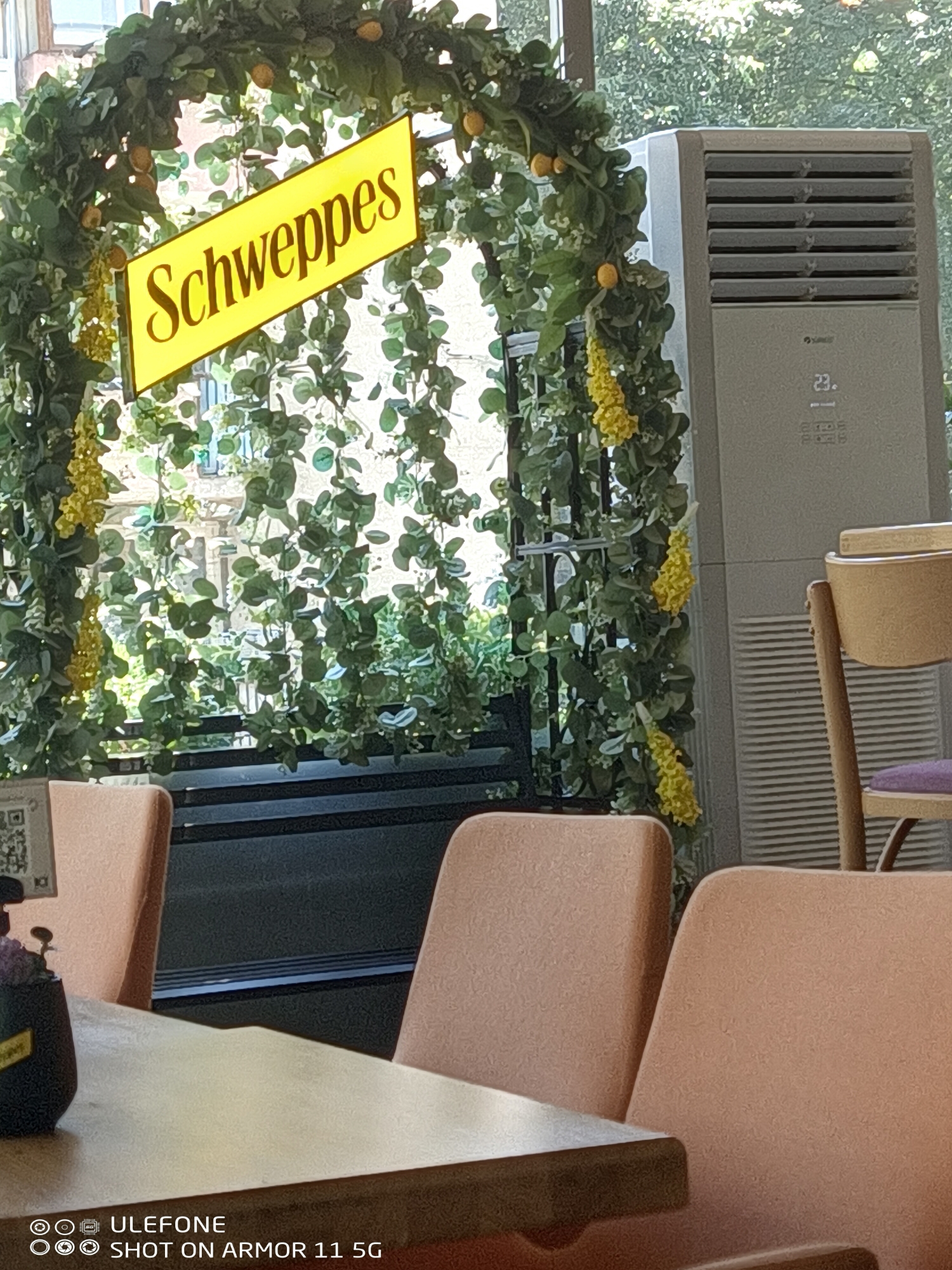The image displays an indoor commercial establishment, likely a cafe or restaurant, with a view towards an outdoor area. No individuals are visible.
A prominent decorative archway, constructed from artificial green foliage, spans the mid-ground. This foliage is adorned with yellow spherical objects resembling lemons and yellow clustered floral elements consistent with wisteria. Suspended diagonally within the archway is a yellow, rectangular sign with cut corners, displaying the word "Schweppes" in a stylized brown font.
To the right of the archway stands a light-grey GREE-branded vertical air conditioning unit. Its digital display shows the number "23" along with other illuminated icons. The unit features a series of horizontal air vents.
In the foreground, a light-colored table surface is visible, partially obscuring the lower portions of several chairs. Two chairs with peach-colored fabric upholstery are prominent, viewed from the back and side. On the left side of the table, a dark, small potted object, possibly containing a plant or decoration, is positioned next to a visible QR code. Further to the right, a light-brown wooden chair with a purple seat cushion is partially visible.
The background, viewed through an opening or window behind the archway, shows blurred green foliage and indistinct architectural structures, suggesting an outdoor urban environment.
The image contains a watermark at the bottom: "Ulefone SHOT ON ARMOR 11 5G." The specific location within Burgas, Bulgaria, cannot be determined from the visual information provided.