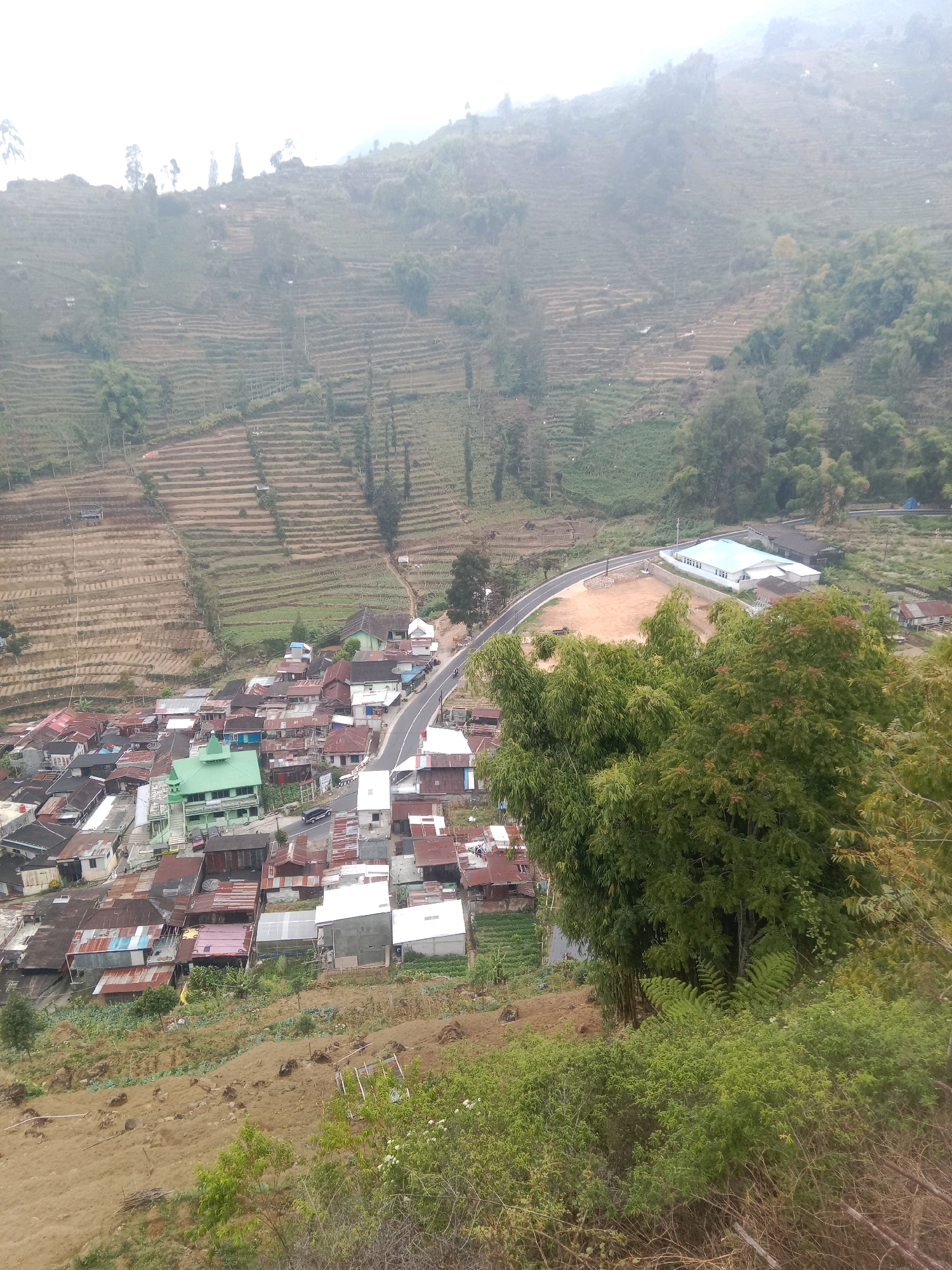 This is an aerial photograph taken in the city of Tieng, Indonesia, showing a village nestled among terraced hills. The village features a cluster of houses with red and gray metal roofs, situated along a winding road. A prominent green-roofed building, possibly a mosque or community center, is visible in the village. Further up the hill, a white building with a light blue roof stands out, adjacent to a dirt area and a paved road. The surrounding landscape is characterized by extensive agricultural terraces, indicating a farming community. Dense green foliage, including large trees and bushes, covers parts of the hillsides and the foreground. The sky is overcast, contributing to a soft, diffused light.