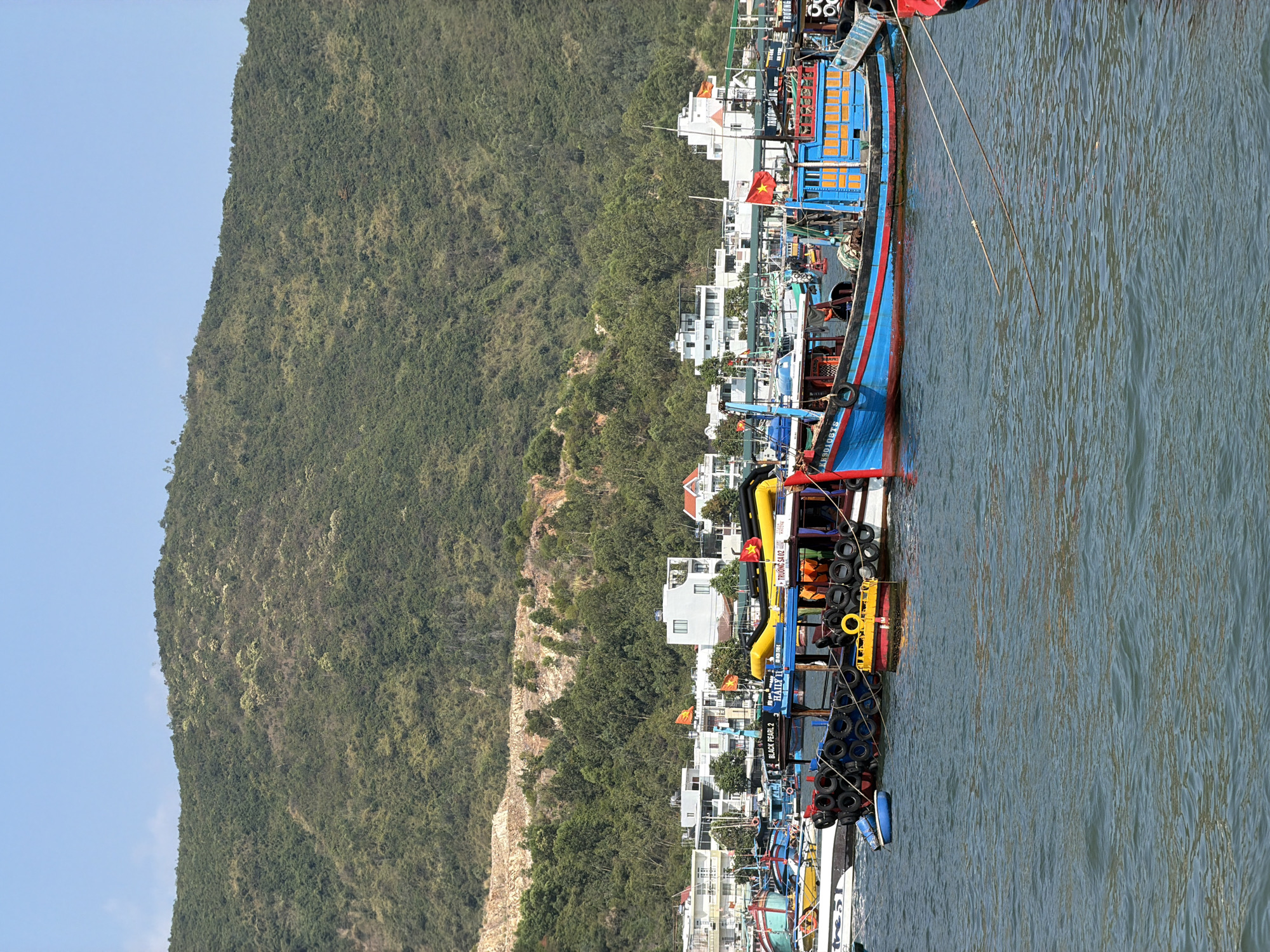 A slightly out-of-focus outdoor shot depicts a cityscape and harbor. A densely vegetated mountain occupies the left portion of the image, with the sky visible above it. Nestled between the mountain and the water is a line of predominantly white buildings. Several boats line the dock, with blue boats being most prominent and closest to the viewer. A few boats have Vietnamese flags visible. The water occupies the right side of the image. The location is the city of Nam Nha Trang Ward, Vietnam.