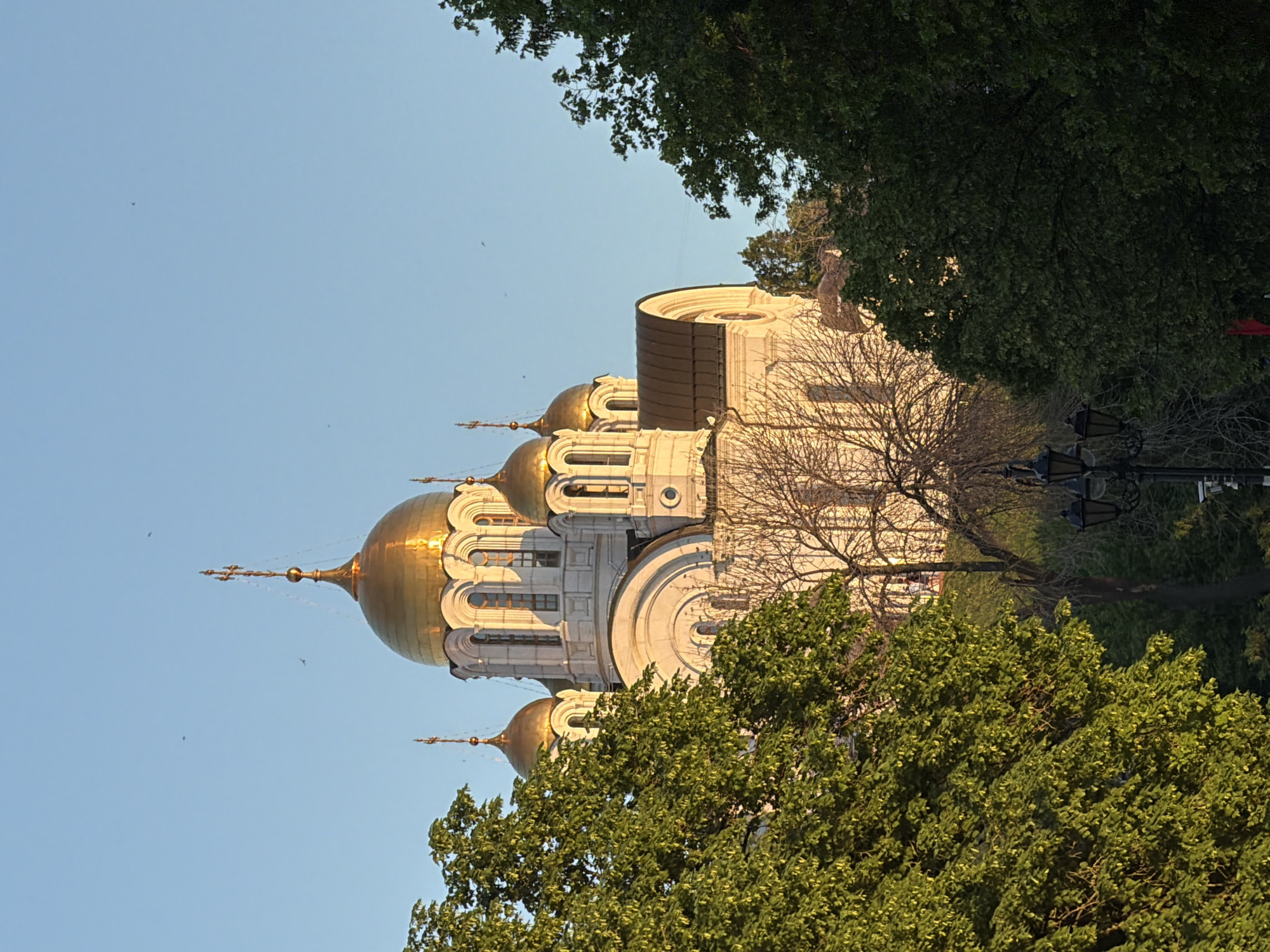 The image shows the Cathedral of St. George in Samara, Russia. The cathedral is a white building with golden domes, partially obscured by trees in the foreground. The sky is blue. The cathedral appears to be illuminated by sunlight. There are street lamps visible to the right, behind the trees. There are some birds are flying nearby.