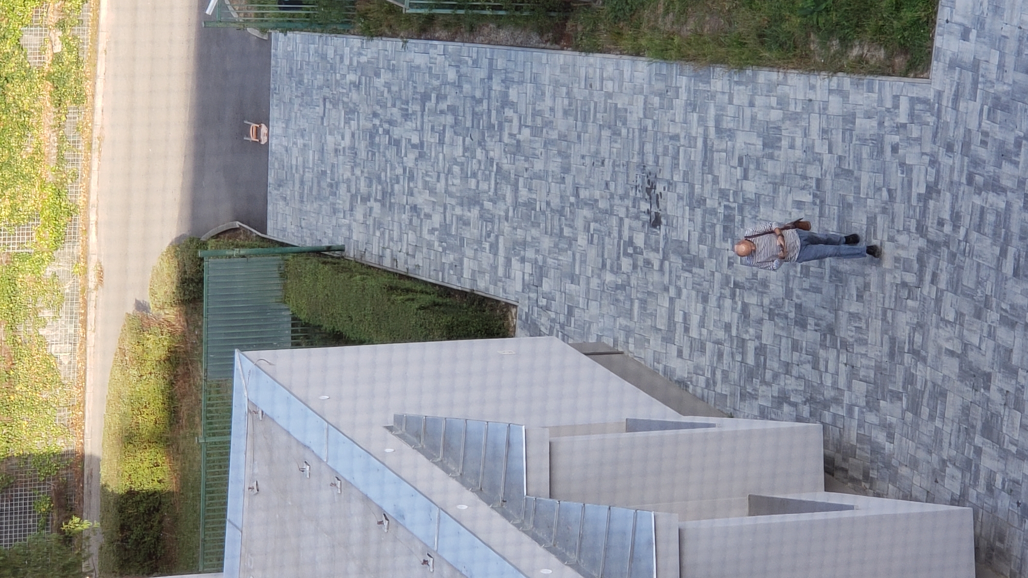 An overhead, eye-level shot captures a paved walkway in an urban setting. The walkway is made of grey rectangular pavers arranged in a staggered pattern. To the left, the side of a modern, white building with a sloped, silver roof is visible. To the right of the walkway, a strip of green grass and a metal fence can be seen. In the background, a low green hedge borders a dark asphalt surface, beyond which a stone wall covered in green ivy is apparent. A single bald man, wearing a striped long-sleeved shirt and blue jeans, is walking on the paved path, looking down at his mobile phone. He is carrying a brown messenger bag over his right shoulder. In the background, a small, orange stool lies on the asphalt. The image appears to be taken from an elevated vantage point, possibly a building overlooking the walkway.