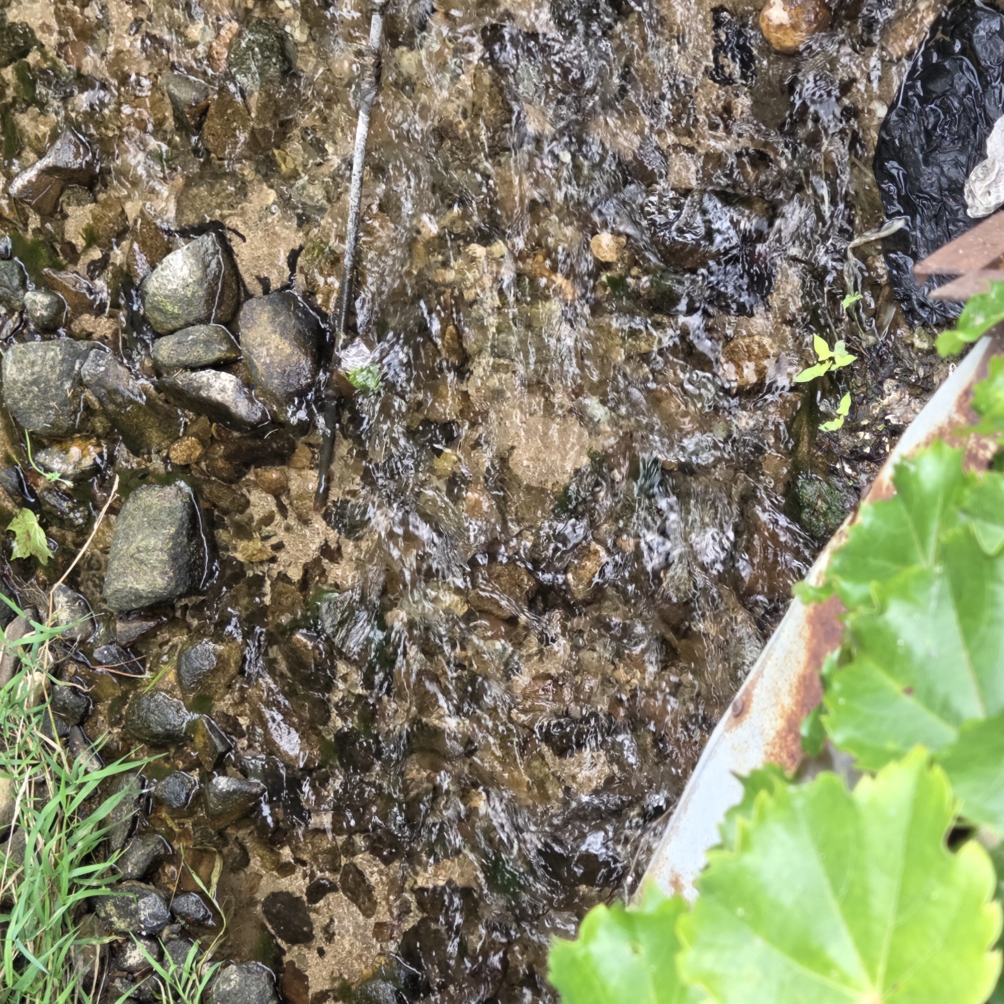 The image shows a shallow stream flowing over a rocky bed. Green grass and leaves are visible along the edge of the stream, and a piece of rusty metal pipe is partially submerged in the water. The water is clear, and the rocks beneath are visible. The overall scene suggests a natural or semi-natural environment, possibly in a park or rural area. The specific location of Dunnae-myeon, South Korea is not discernible from the image content.