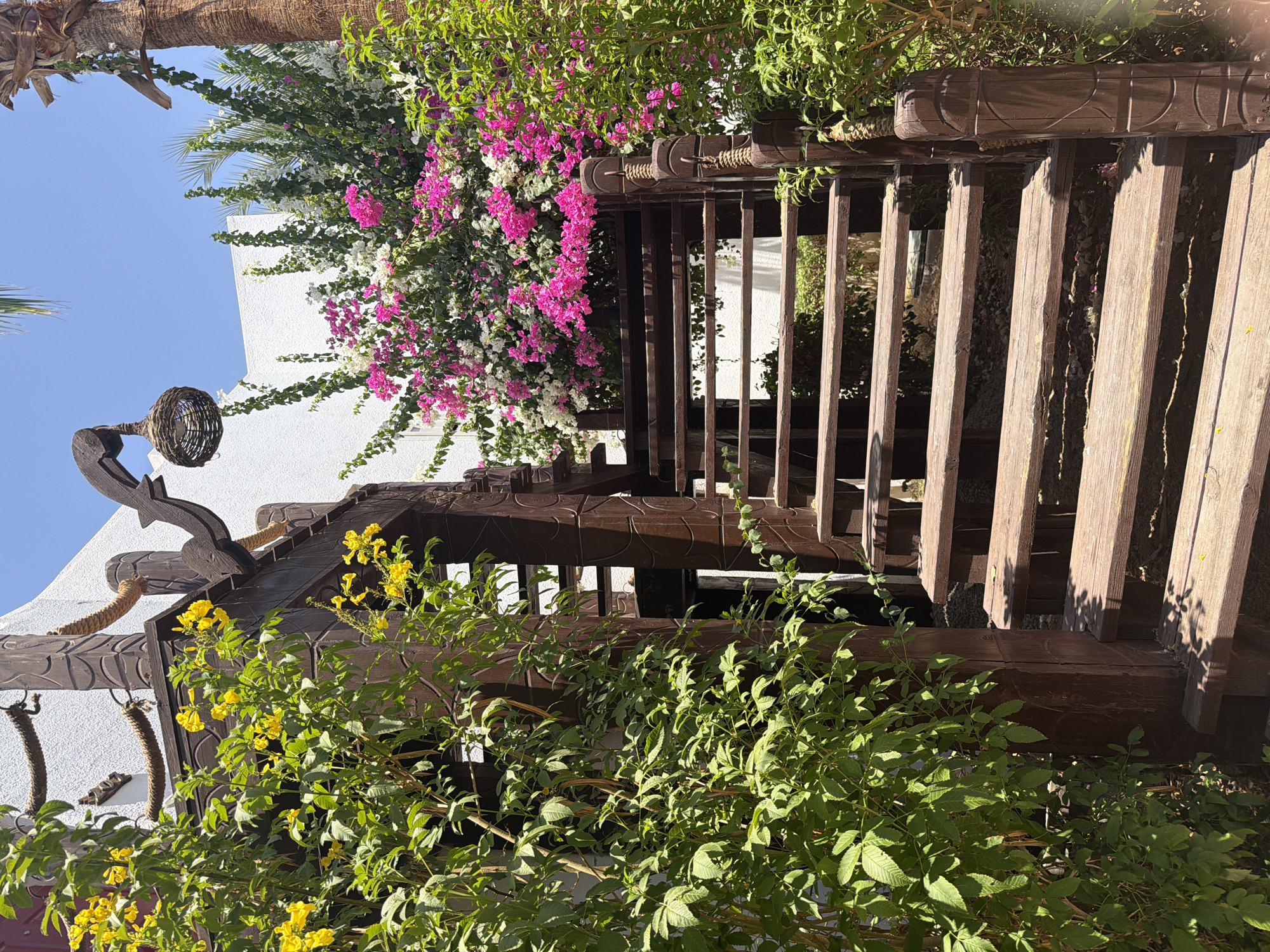 A rustic wooden staircase with intricately carved railings ascends towards a white building adorned with flowering vines. To the left, vibrant yellow flowers bloom amidst lush green foliage, framing the entrance to the staircase. To the right, a profusion of bright pink and white bougainvillea creates a striking contrast against the blue sky and the palm tree trunk. The scene is set on a sunny day in Sharm El Sheikh, Egypt, suggesting an outdoor courtyard or garden area of a resort or villa. The architectural style, with its wooden elements and naturalistic plant life, evokes a tropical or Mediterranean ambiance. The image captures a picturesque and serene moment, highlighting the beauty of the natural surroundings and the decorative elements of the architecture.
